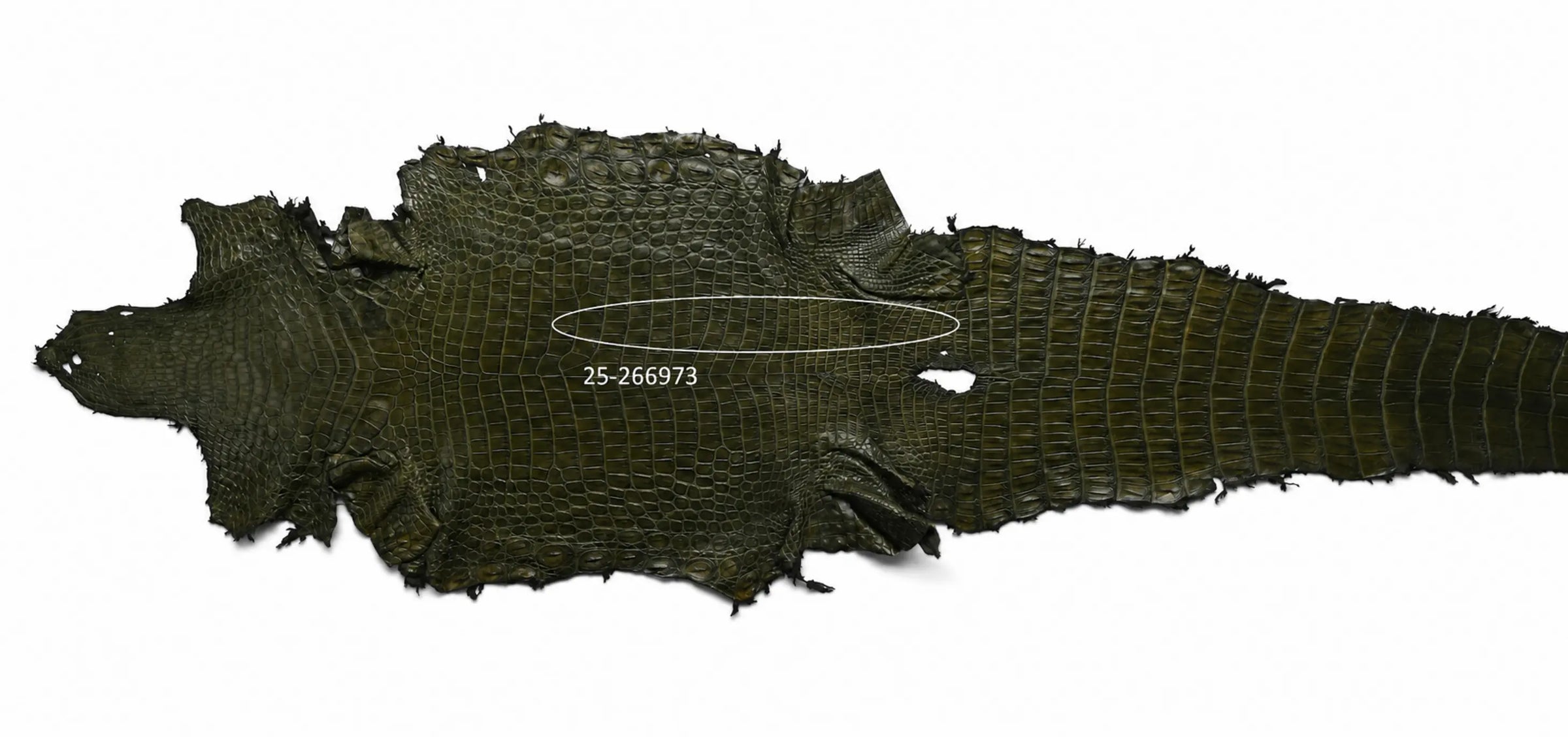 Seronera belt - Green / 120 cm / 40 mm - 126983 - skin