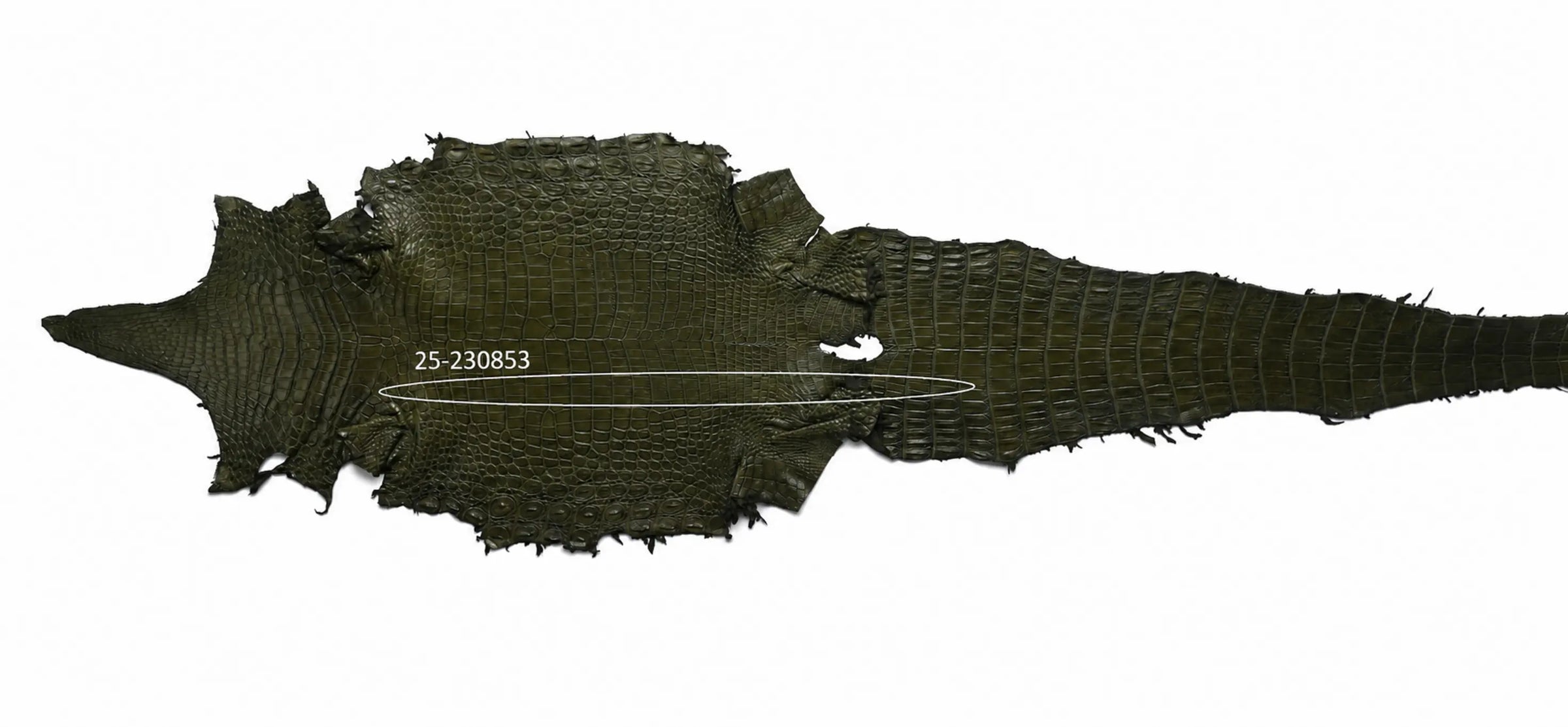 Seronera belt - Green / 95 cm / 40 mm - 126848 - skin
