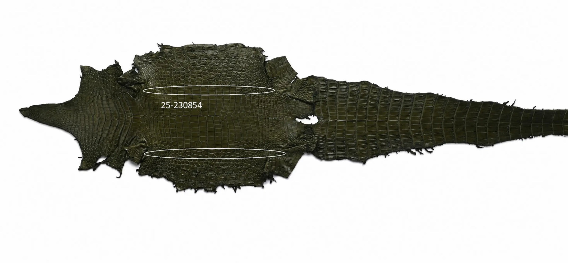 Seronera belt - Green / 85 cm / 40 mm - 126849 - skin