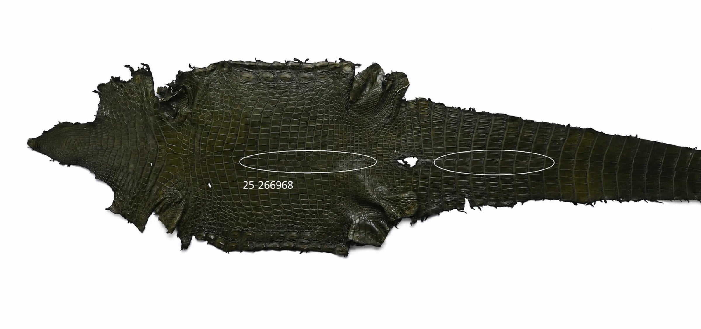 Seronera belt - Green / 85 cm / 35 mm - 126978 - skin