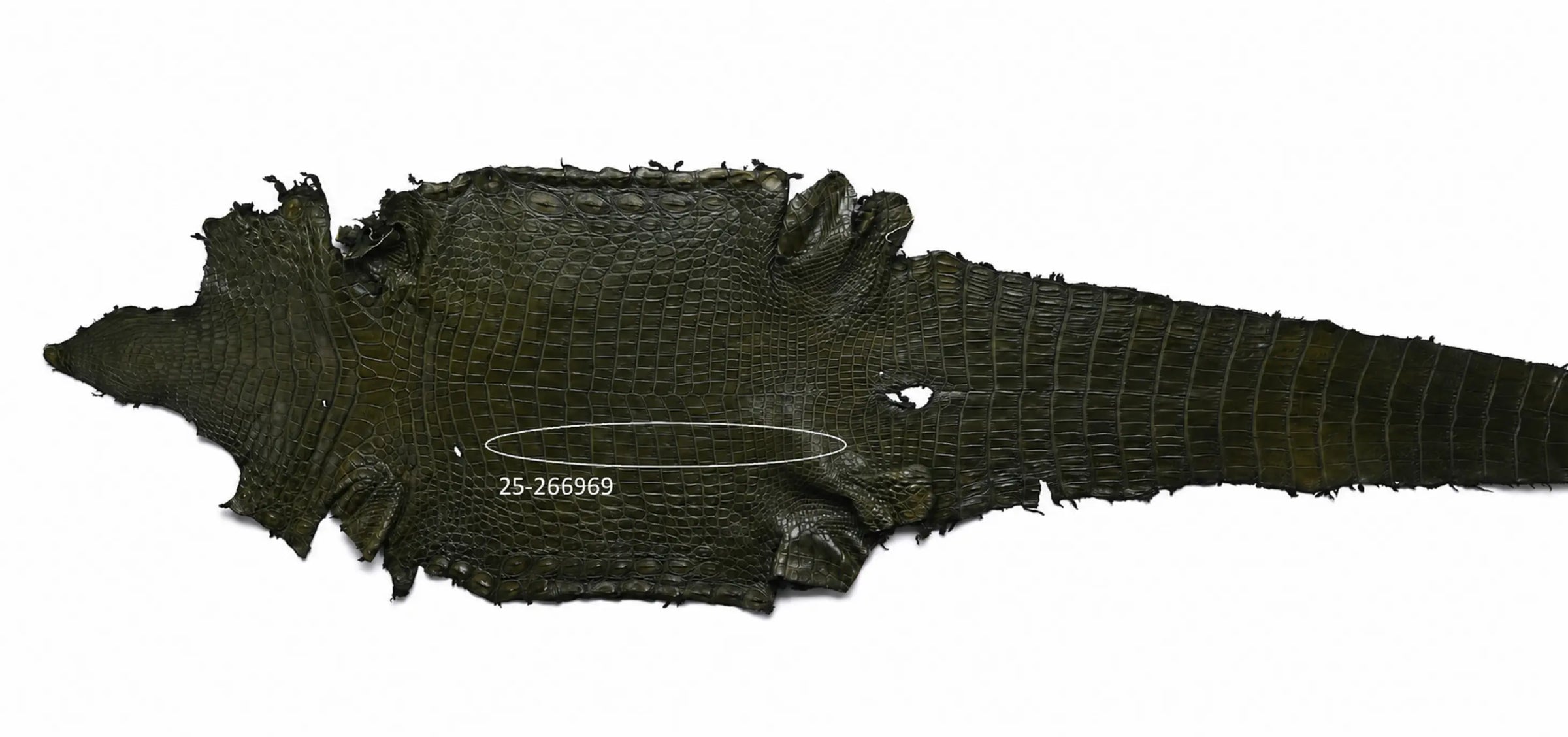 Seronera belt - Green / 110 cm / 40 mm - 126979 - skin
