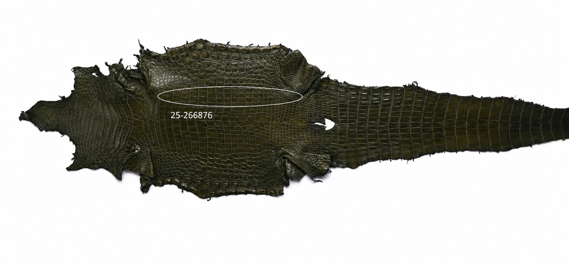 Seronera belt - Green / 110 cm / 40 mm - 126886 - skin
