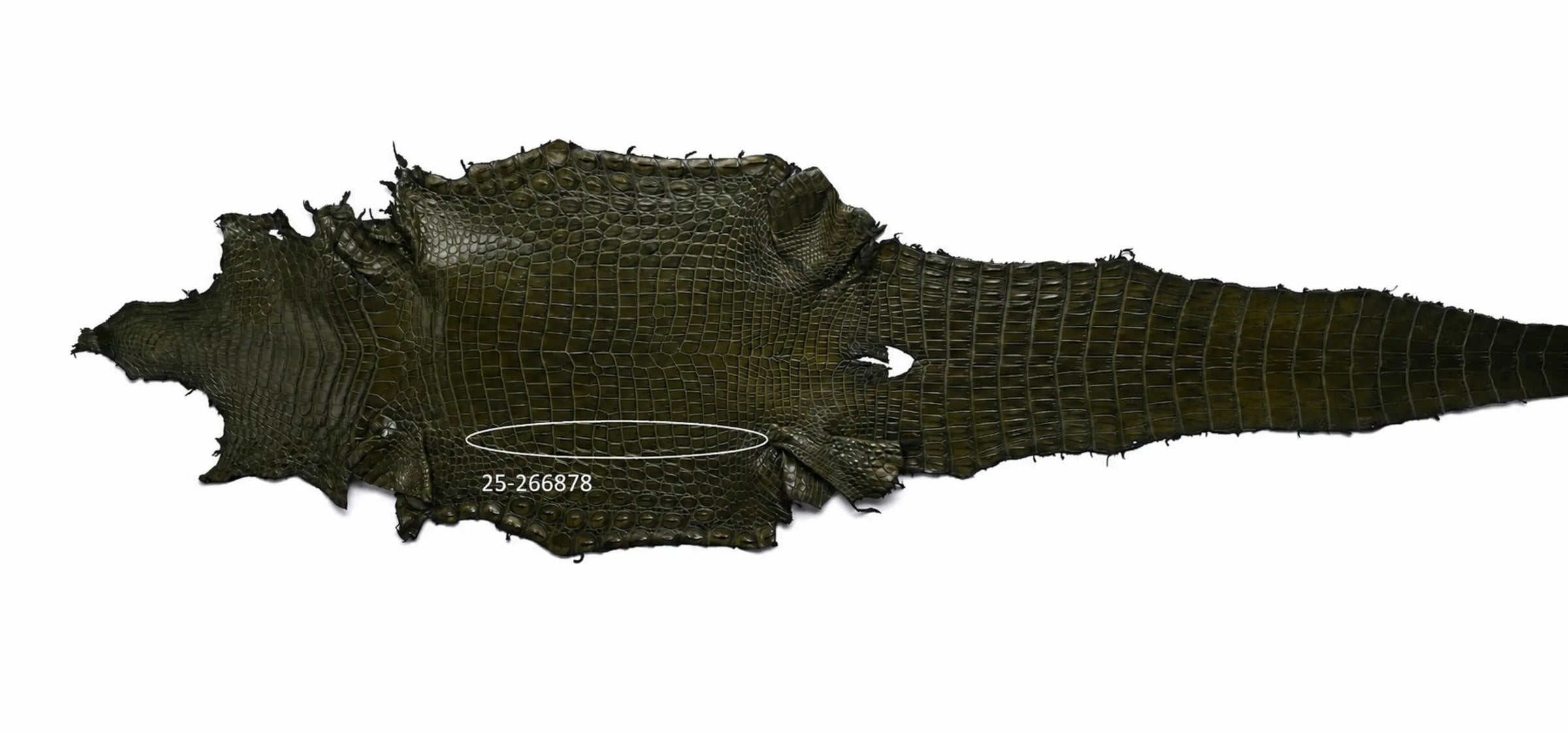 Seronera belt - Green / 85 cm / 35 mm - 126888 - skin