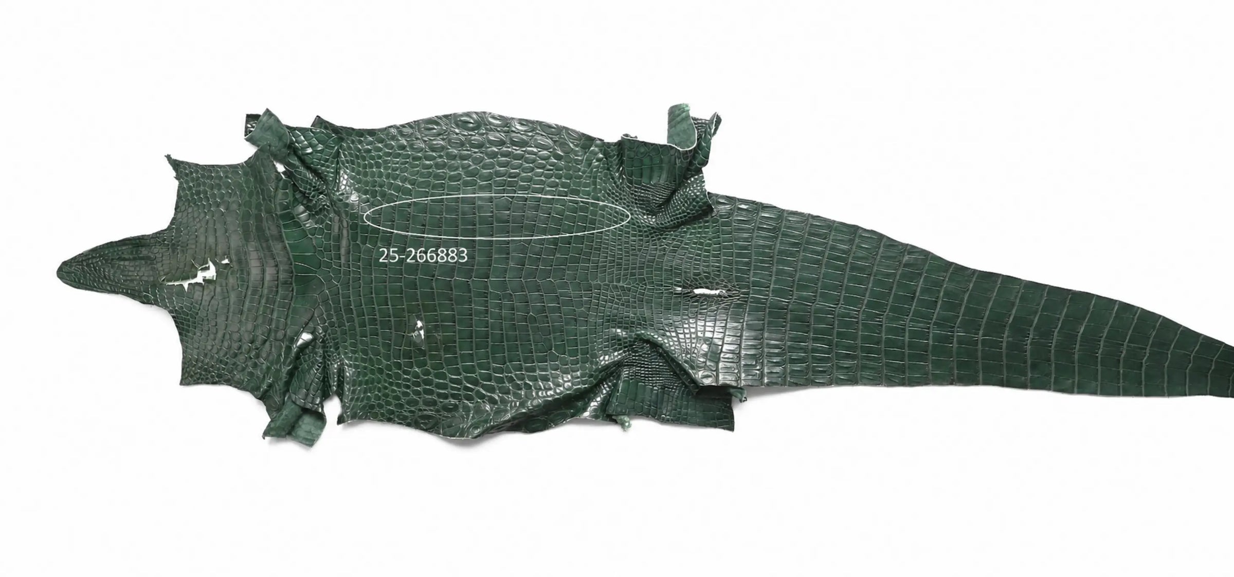 Seronera belt - Green / 105 cm / 40 mm - 126893 - skin