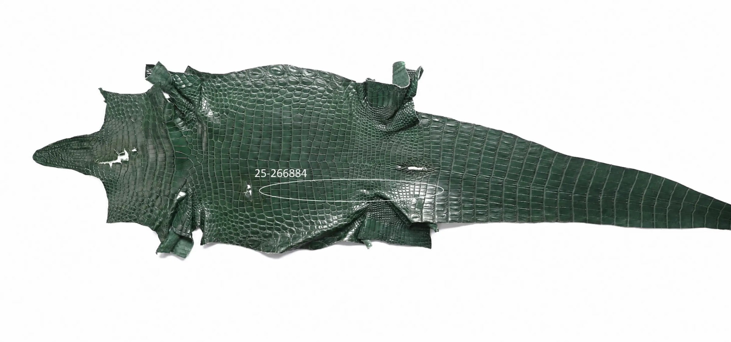 Seronera belt - Green / 105 cm / 40 mm - 126894 - skin