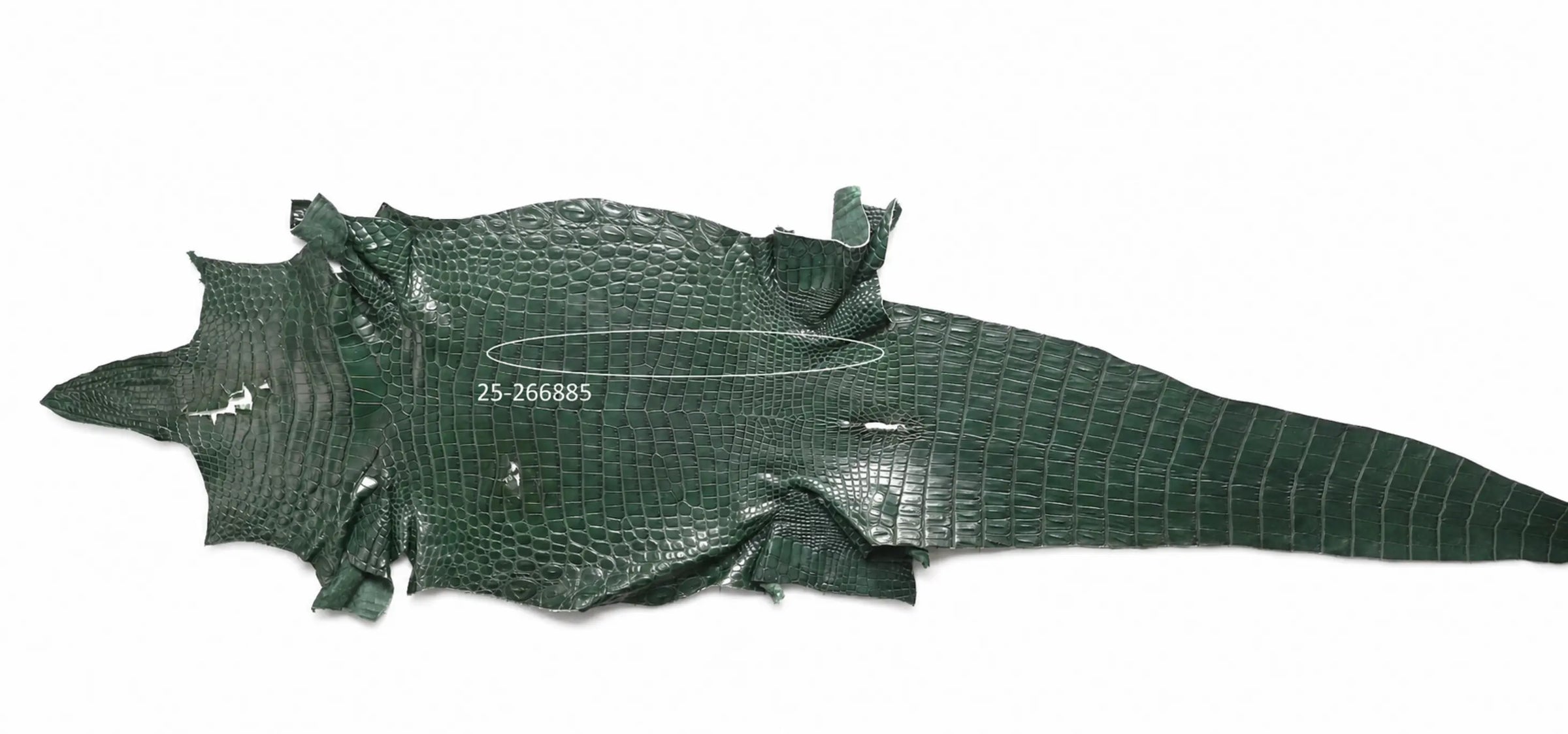 Seronera belt - Green / 105 cm / 40 mm - 126895 - skin