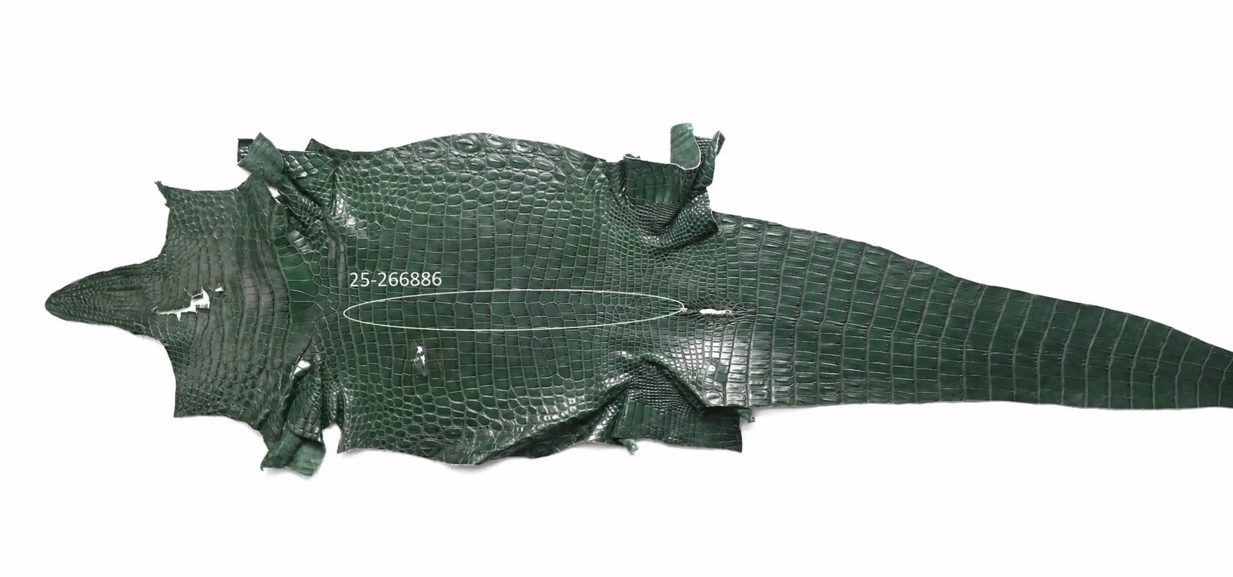 Seronera belt - Green / 120 cm / 40 mm - 126896 - skin