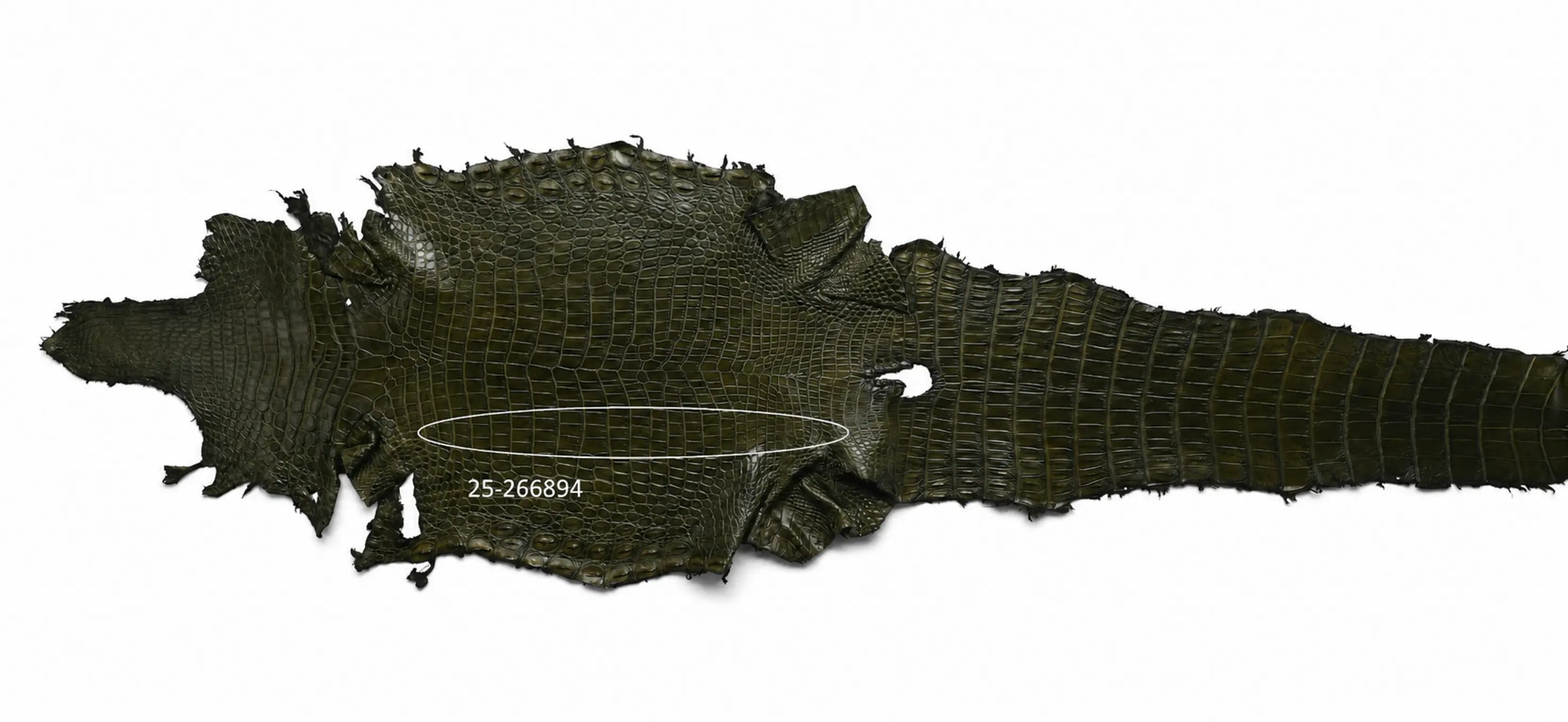 Seronera belt - Green / 120 cm / 35 mm - 126904 - skin