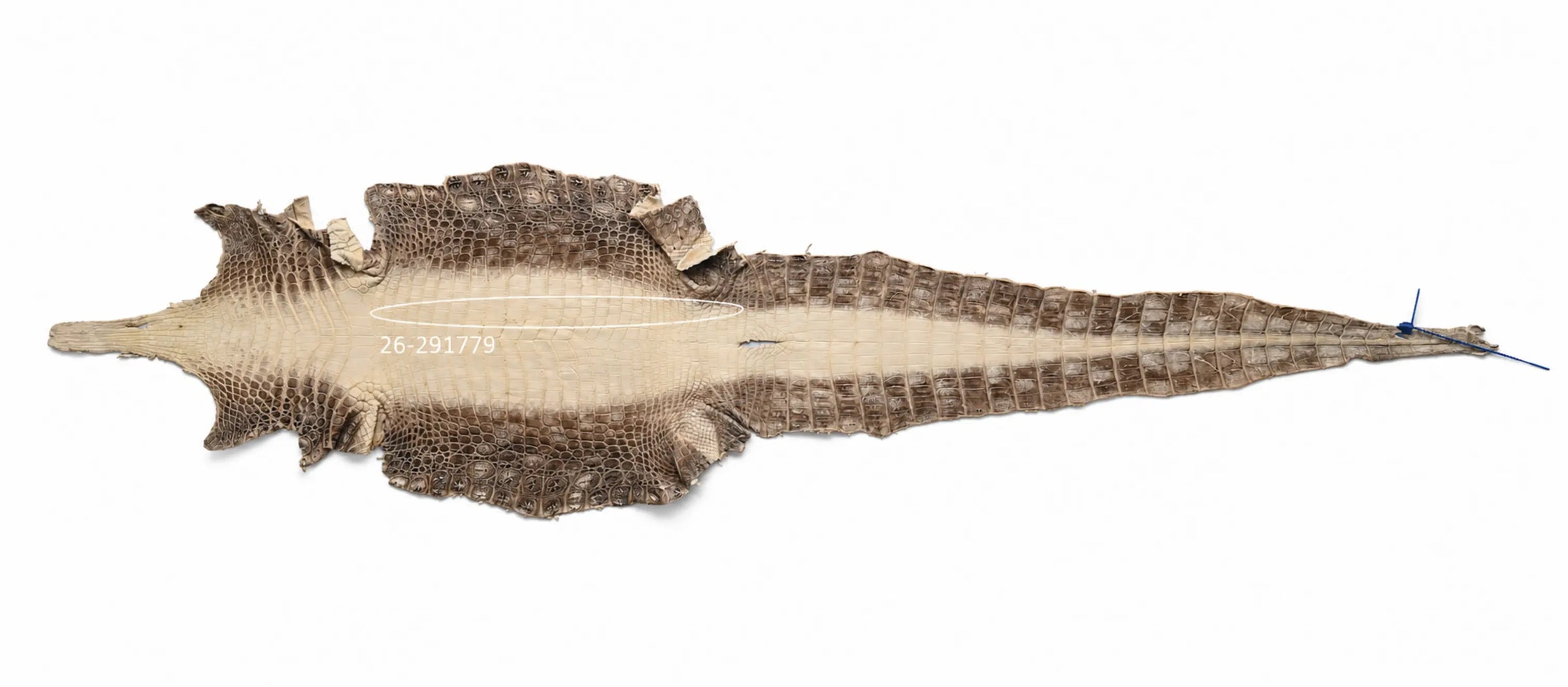 Seronera Female Belt - Himalayan / 110 cm / 30 mm - 127273 - skin
