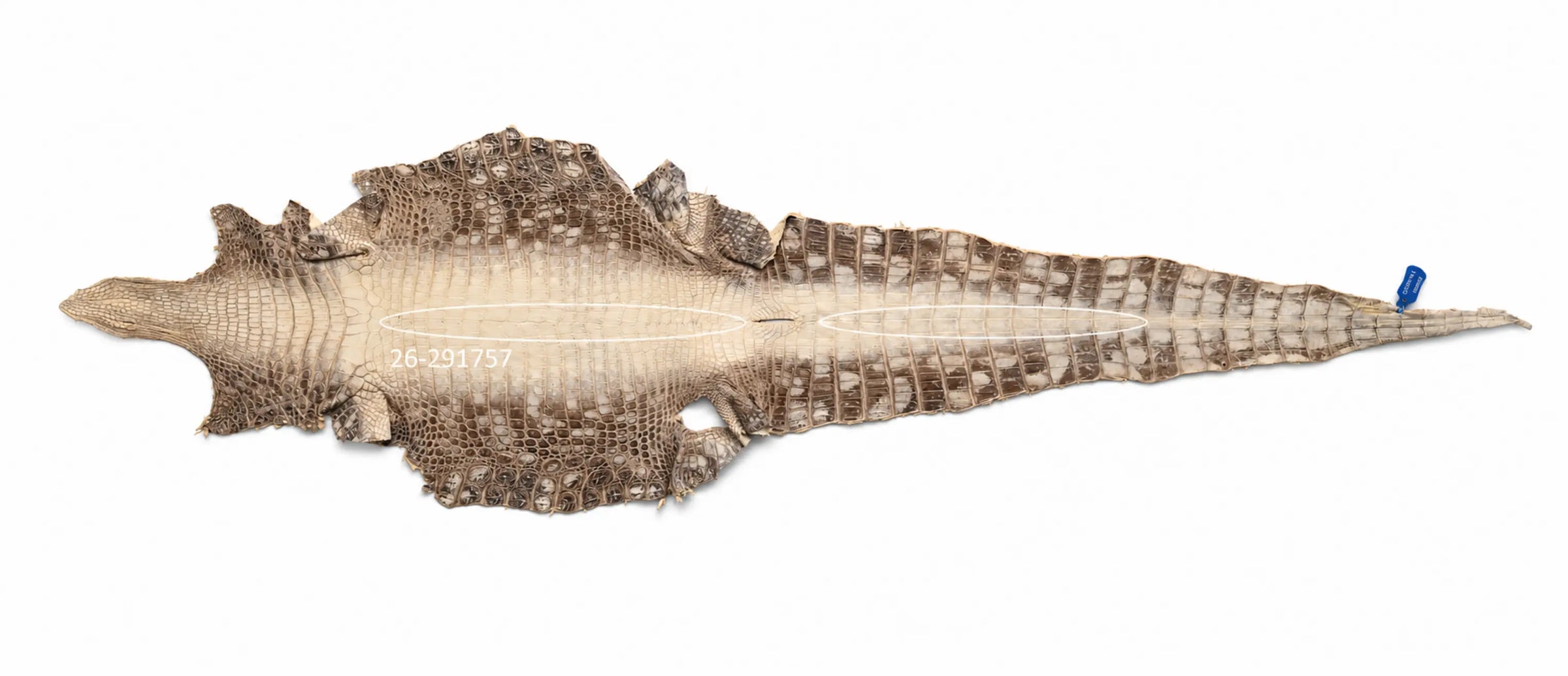 Seronera Female Belt - Himalayan / 110 cm / 30 mm - 127254 - skin