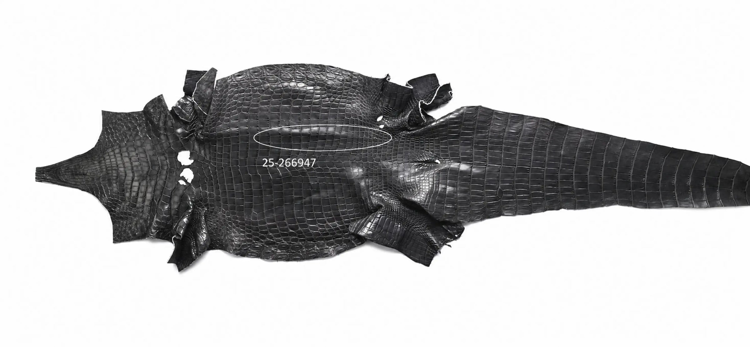 Seronera belt - Grey / 95 cm / 40 mm - 126957 - skin
