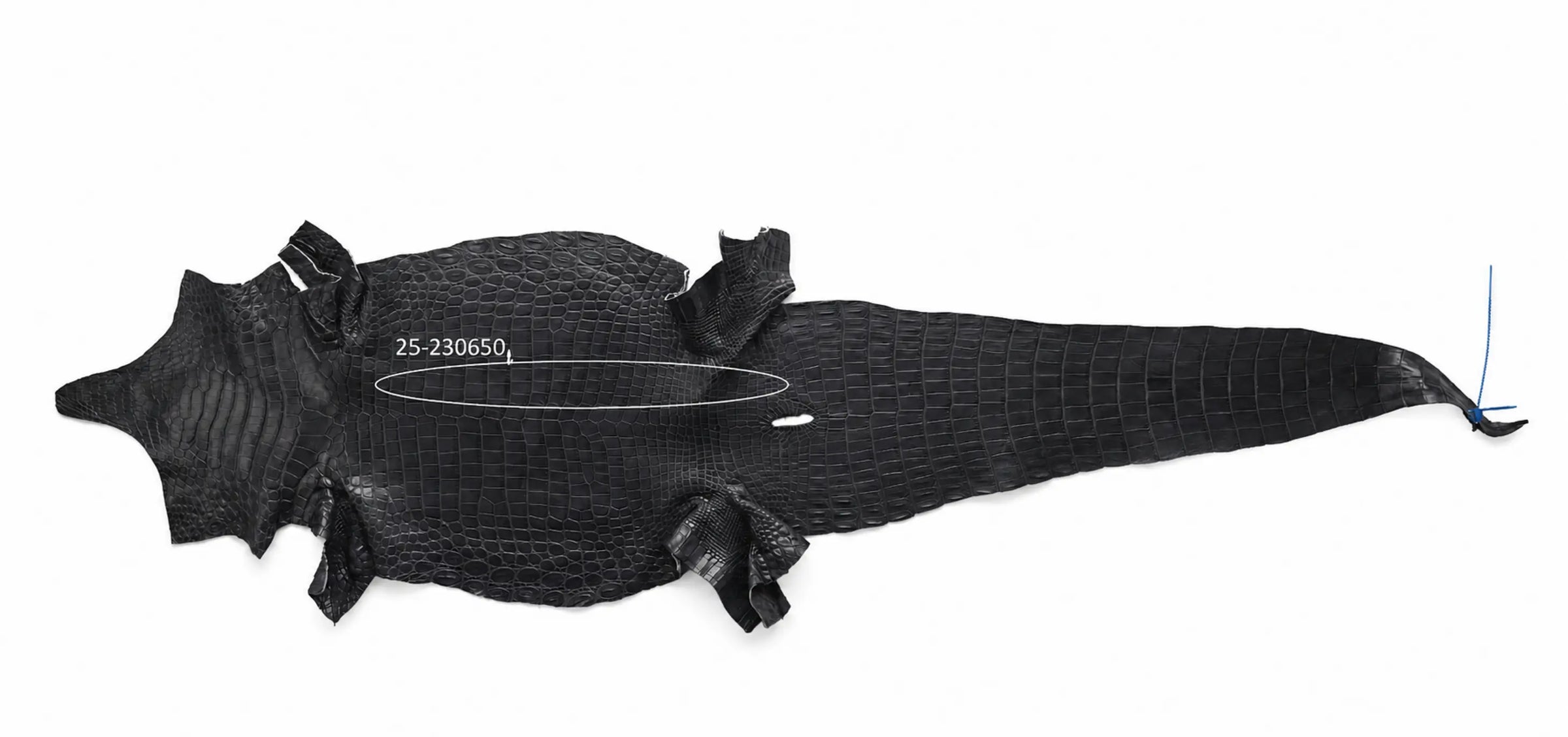Seronera belt - Grey / 105 cm / 40 mm - 126714 - skin