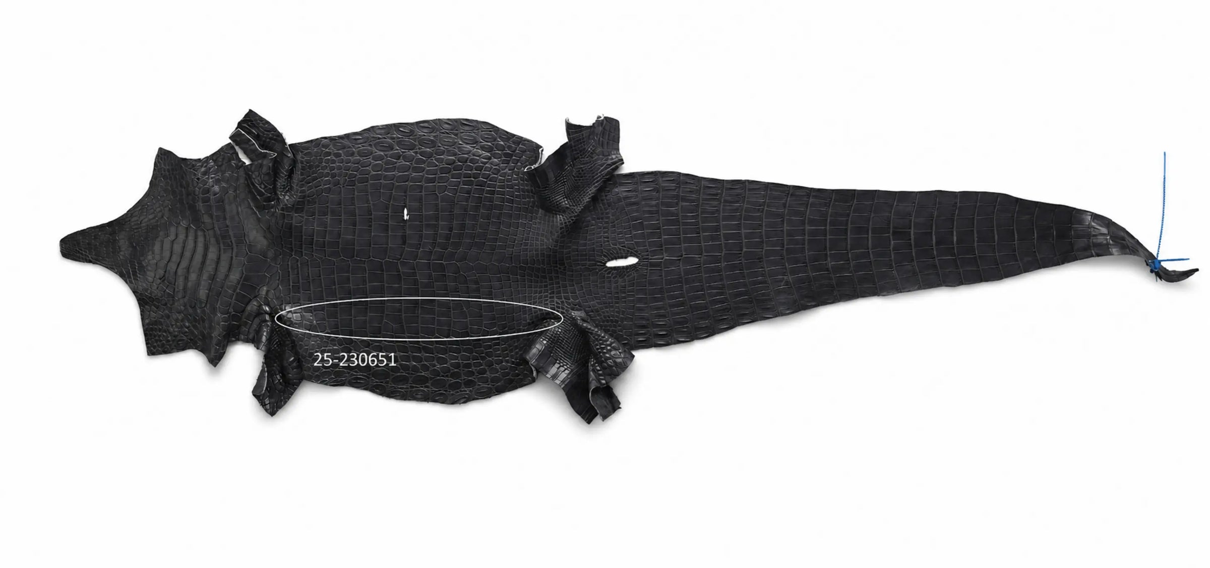 Seronera belt - Grey / 85 cm / 40 mm - 126715 - skin