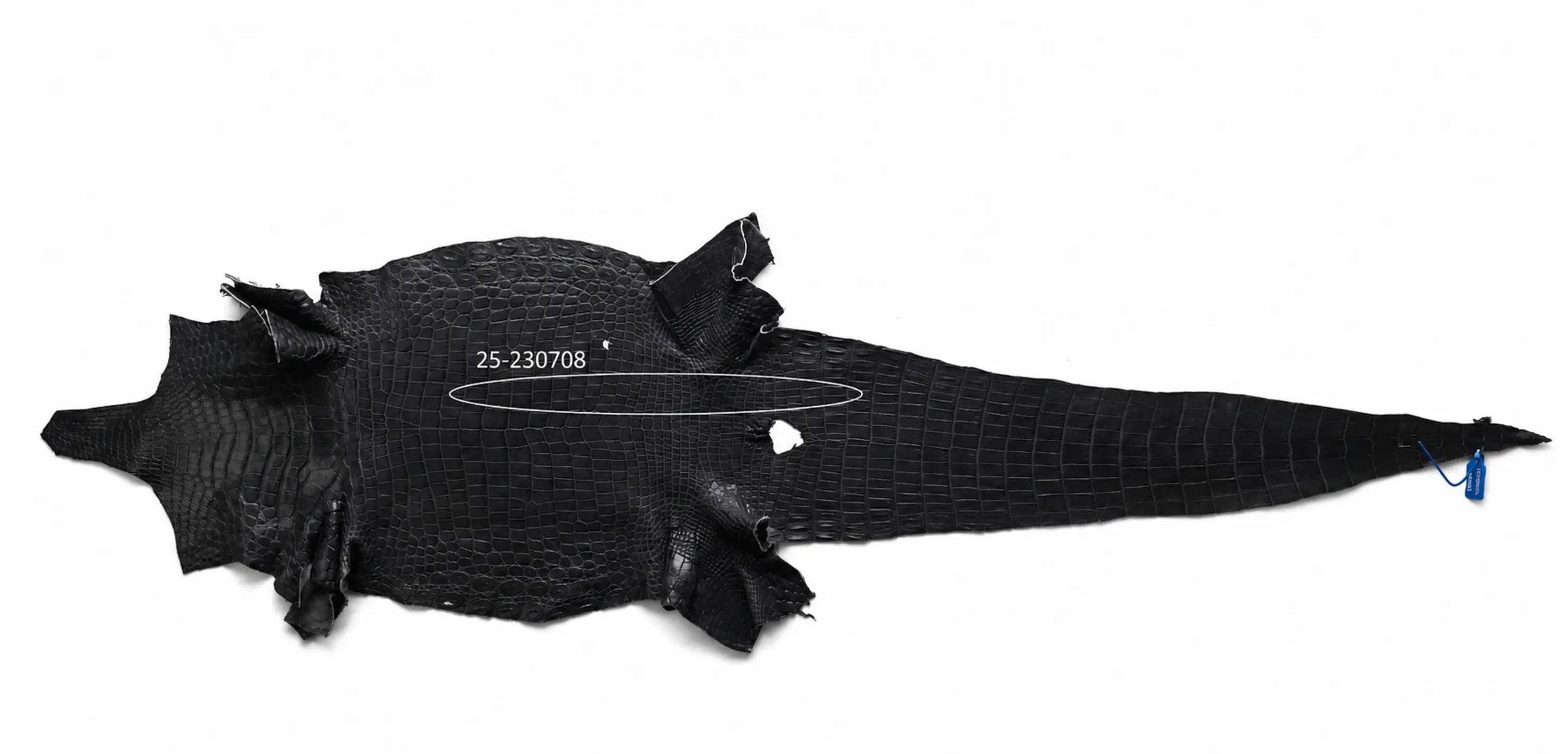 Seronera belt - Grey / 90 cm / 40 mm - 126771 - skin