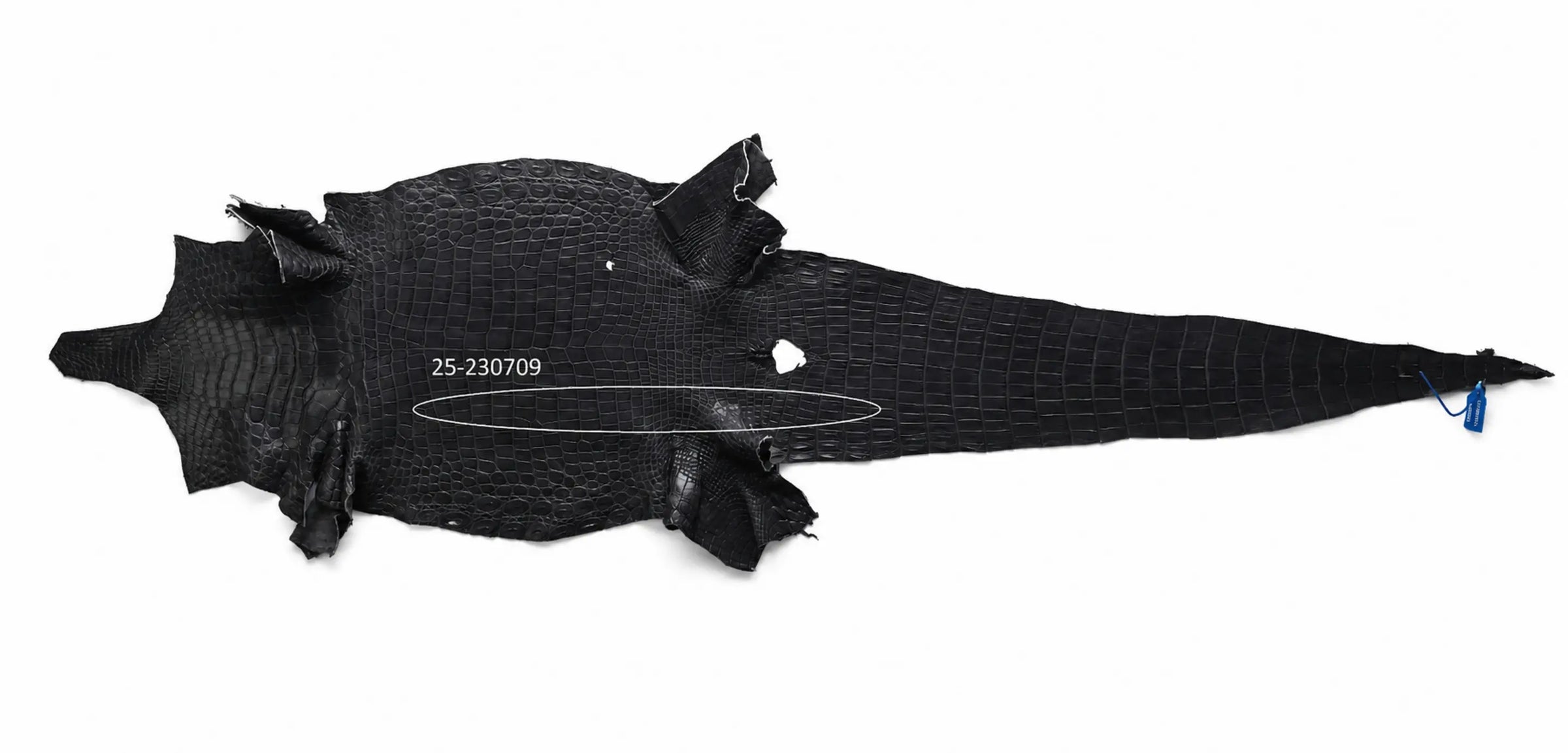 Seronera belt - Grey / 85 cm / 40 mm - 126772 - skin