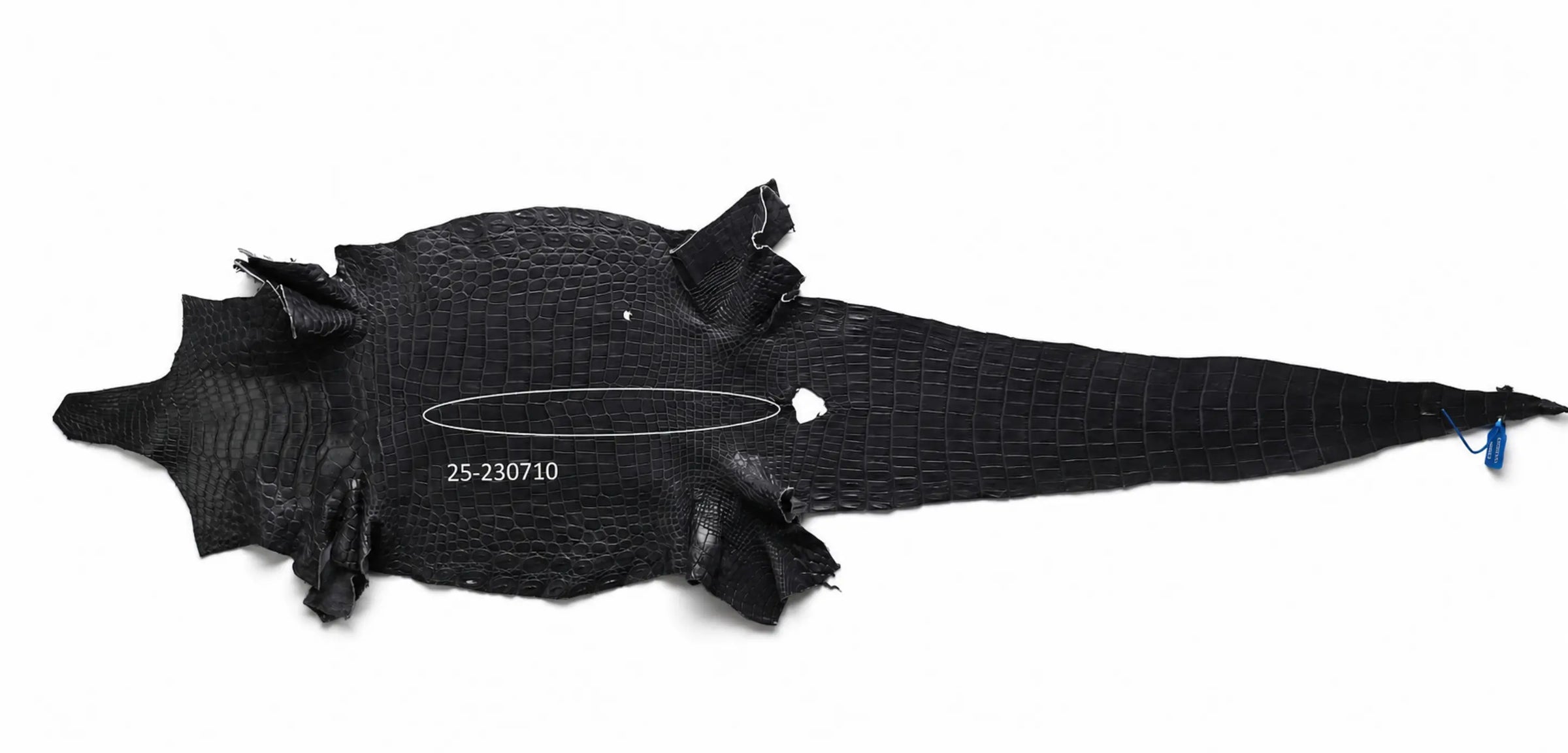 Seronera belt - Grey / 95 cm / 40 mm - 126773 - skin