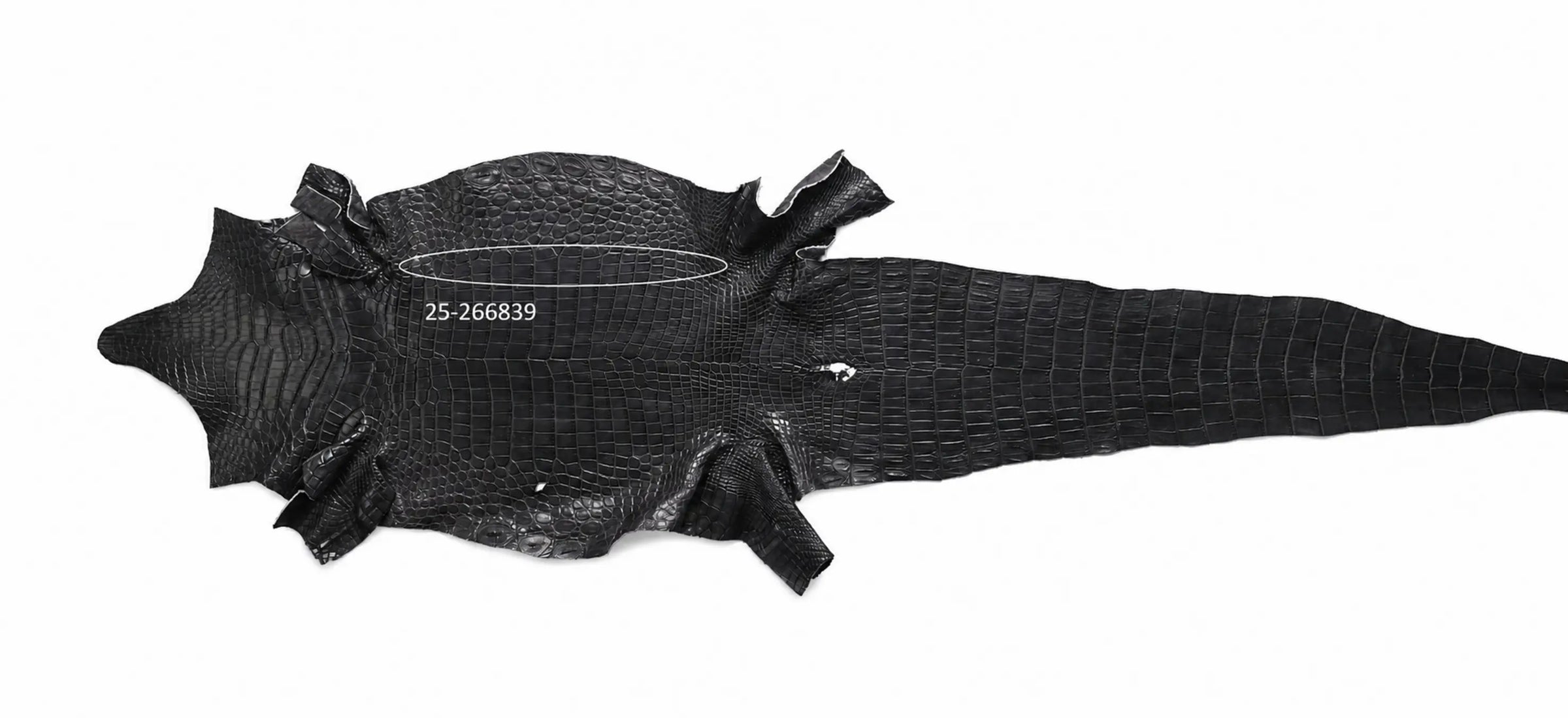 Seronera belt - Grey / 85 cm / 40 mm - 127396 - skin