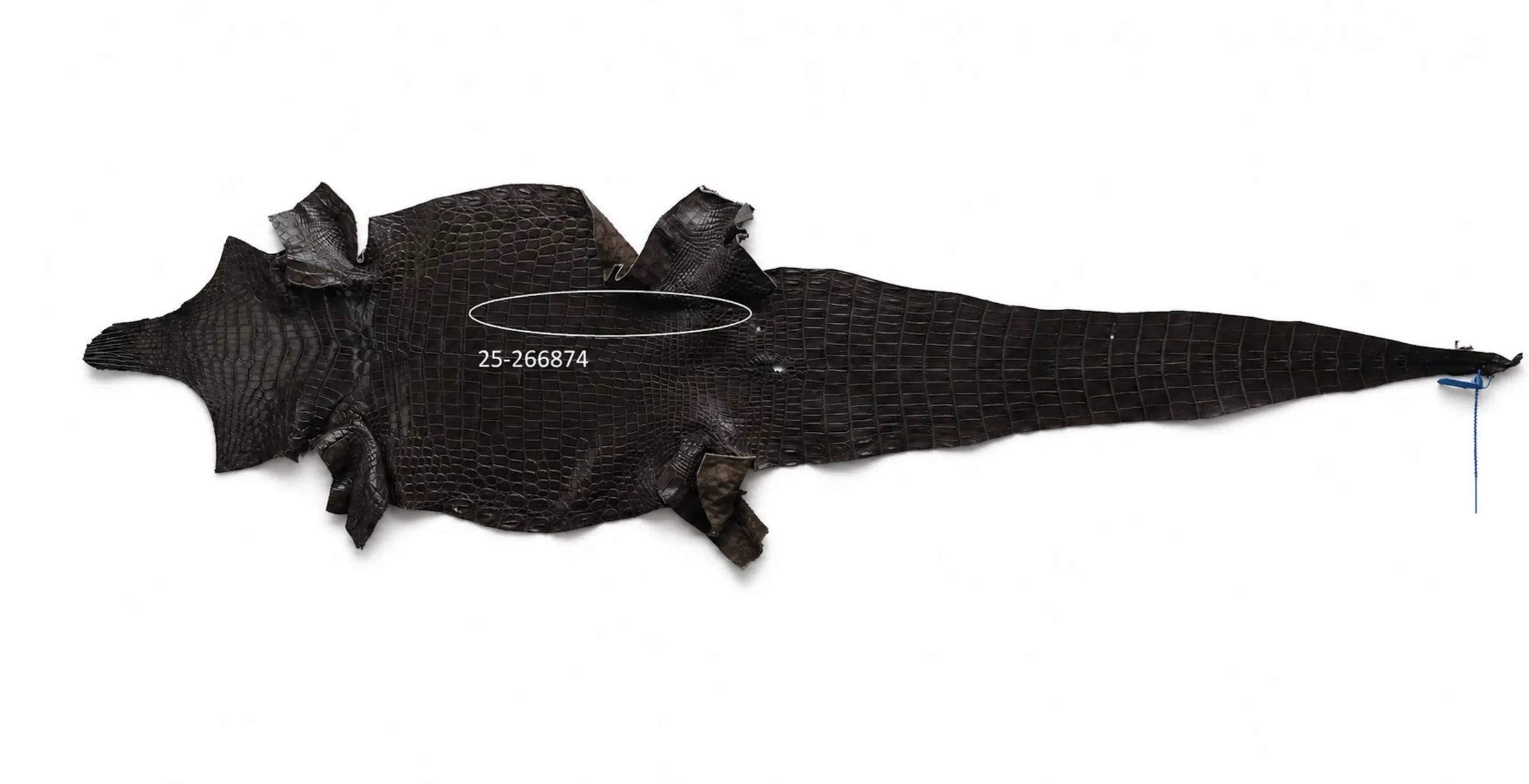 Seronera belt - Tobacco / 70 cm / 35 mm - 127427 - skin
