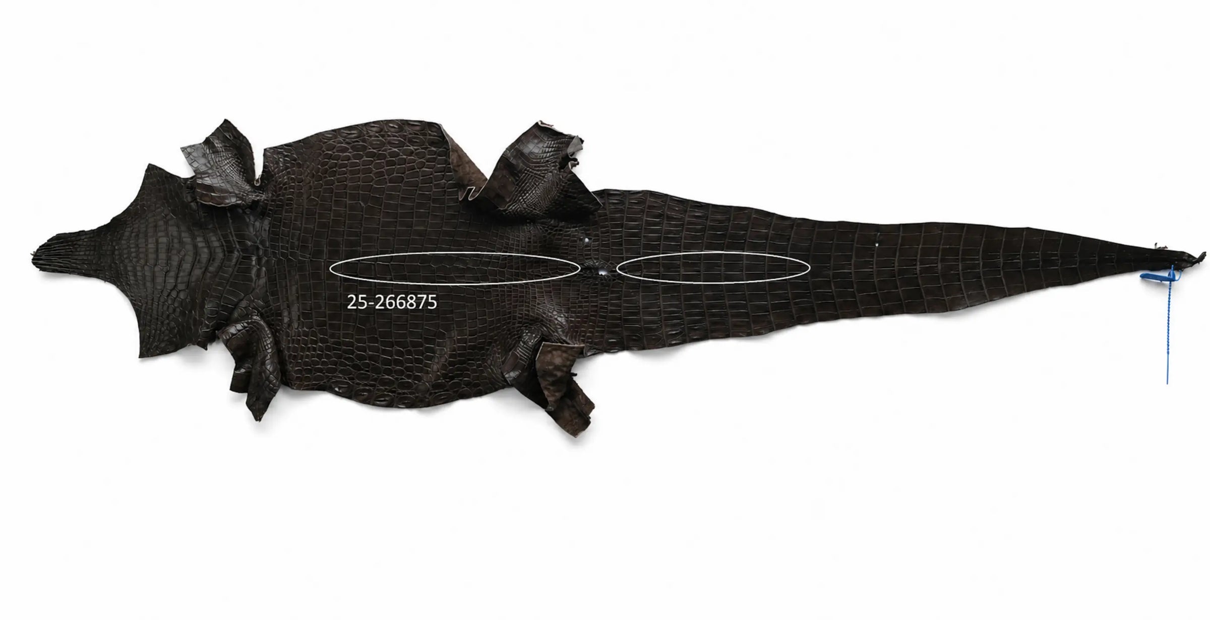Seronera belt - Tobacco / 85 cm / 35 mm - 127428 - skin