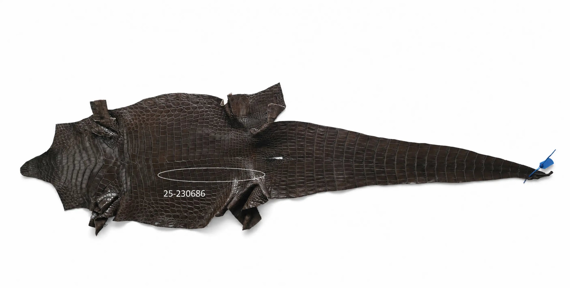 Seronera belt - Tobacco / 75 cm / 40 mm - 126749 - skin