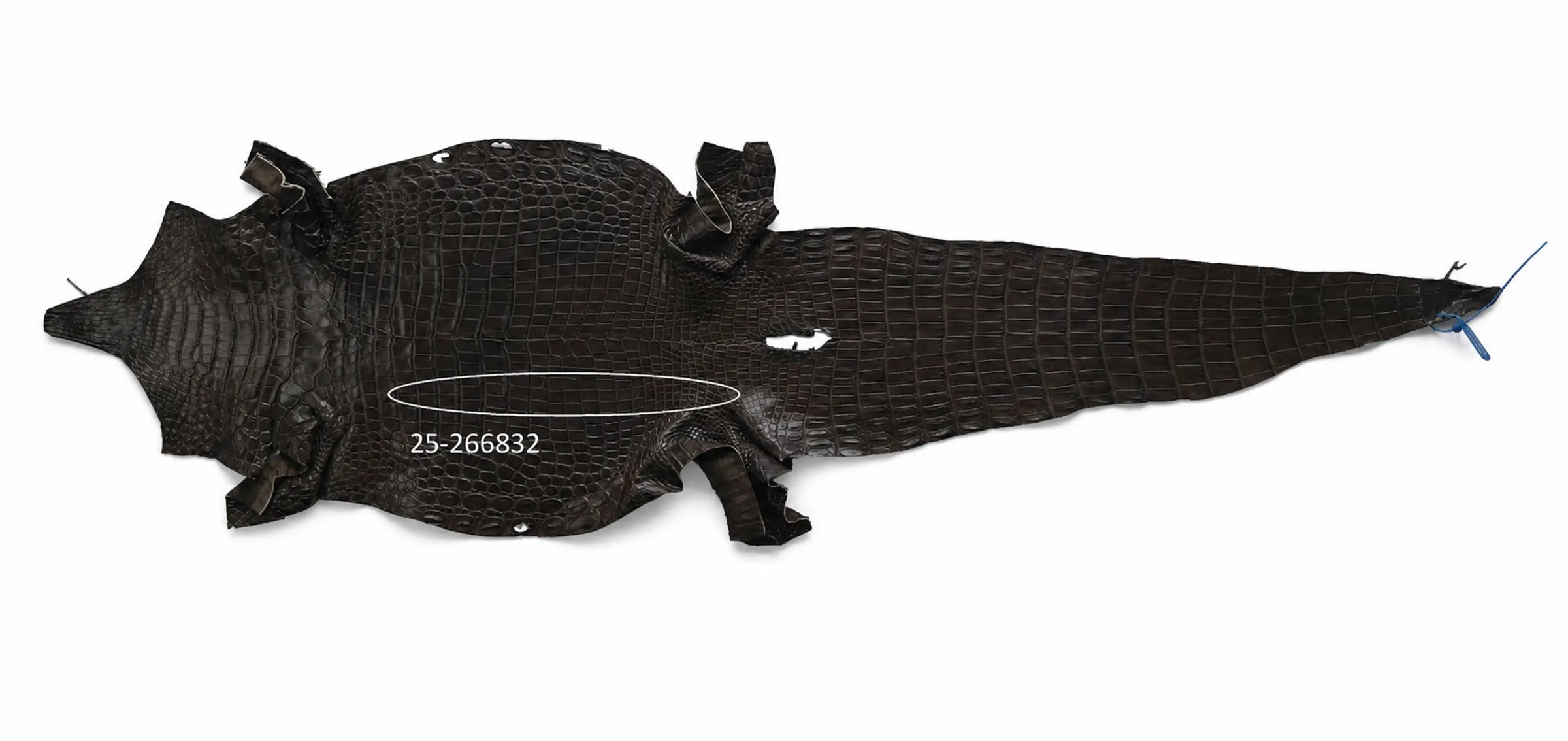 Seronera belt - Tobacco / 85 cm / 35 mm - 127389 - skin