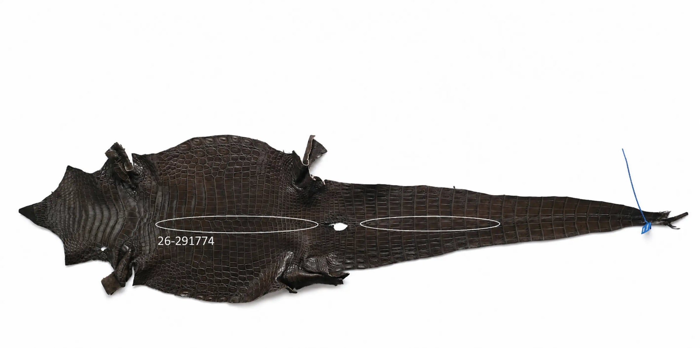 Seronera Female Belt - Brown / 105 cm / 30 mm - 127271 - skin