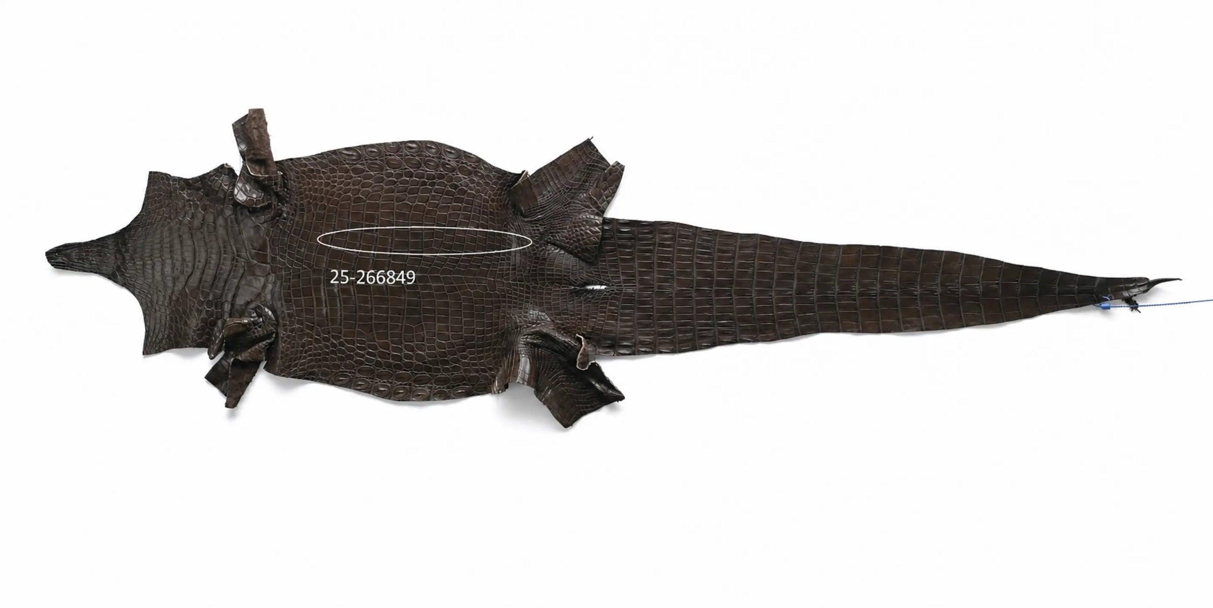 Seronera belt - Tobacco / 70 cm / 35 mm - 127406 - skin