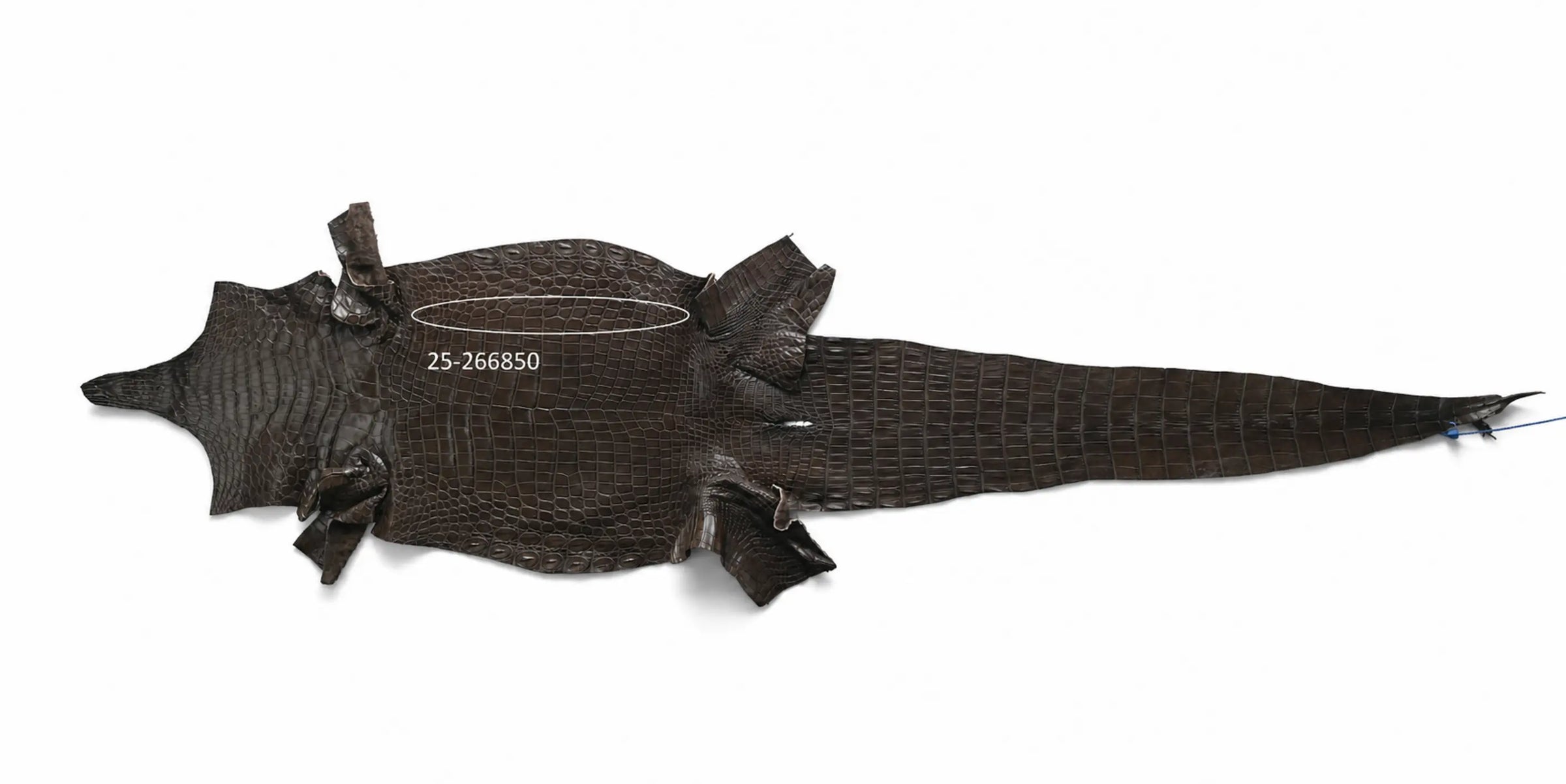 Seronera belt - Tobacco / 70 cm / 35 mm - 127407 - skin