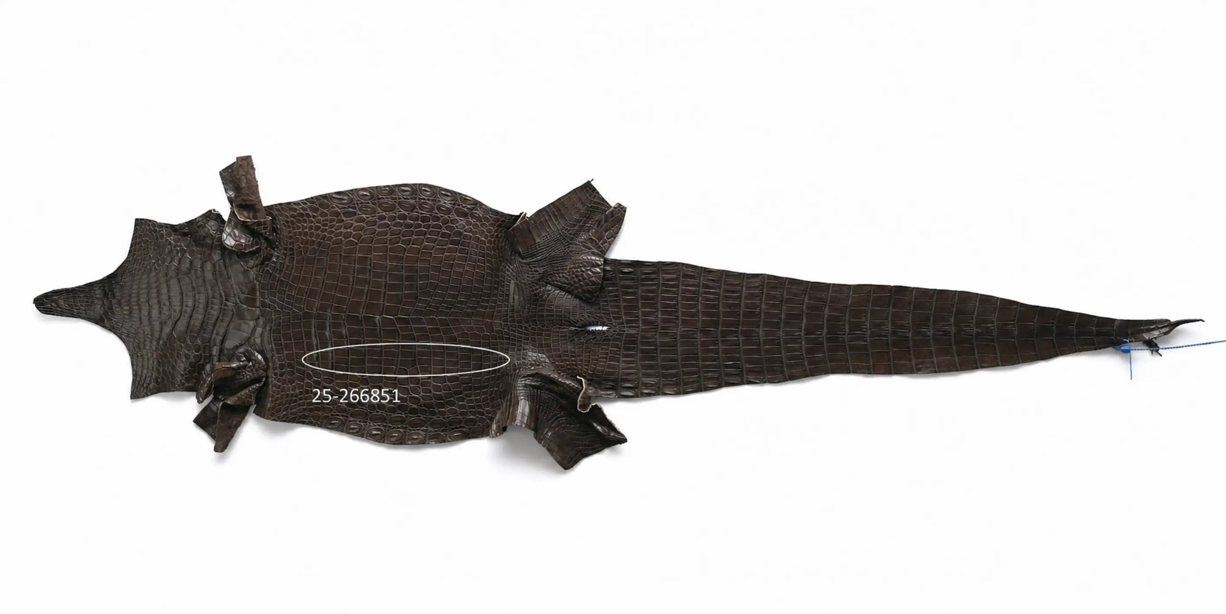 Seronera belt - Tobacco / 75 cm / 35 mm - 127408 - skin