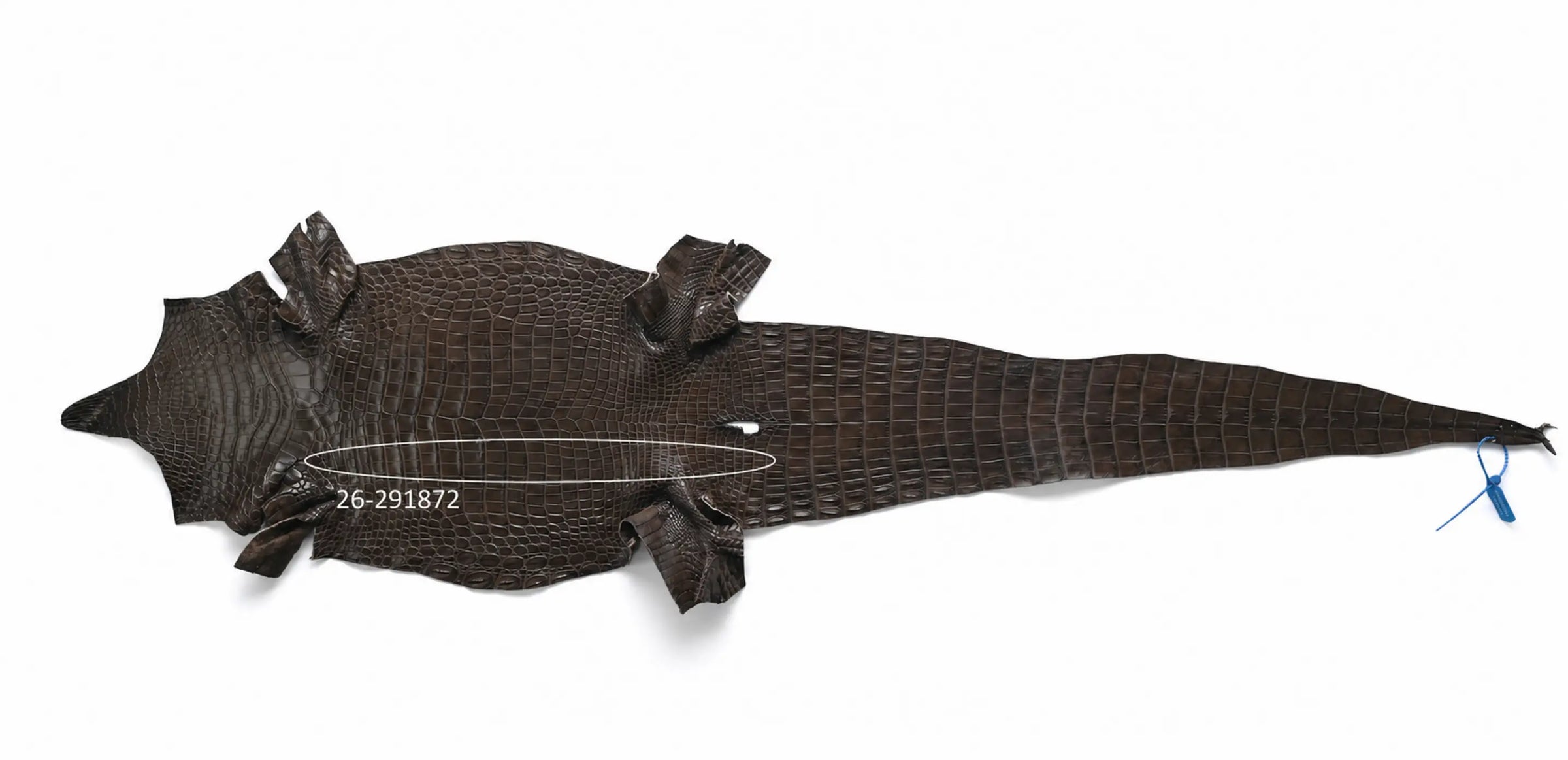 Seronera belt - Tobacco / 75 cm / 35 mm - 127307 - skin