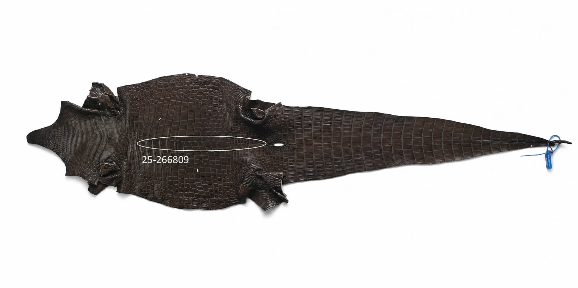 Seronera belt - Tobacco / 70 cm / 35 mm - 127366 - skin
