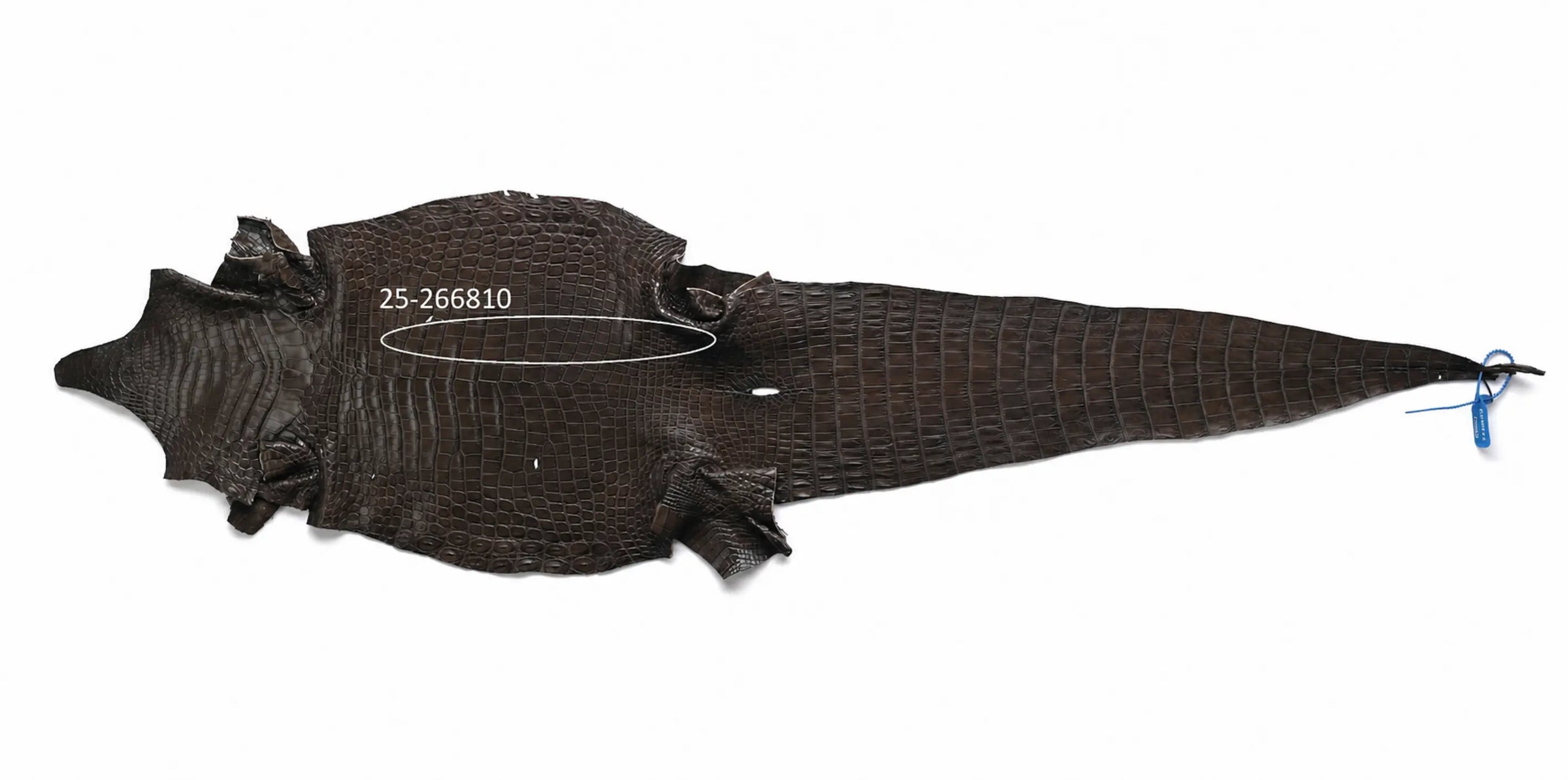 Seronera belt - Tobacco / 70 cm / 35 mm - 127367 - skin