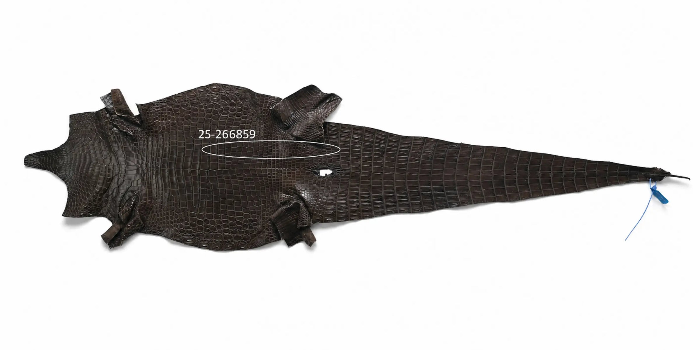 Seronera belt - Tobacco / 85 cm / 35 mm - 126489 - skin