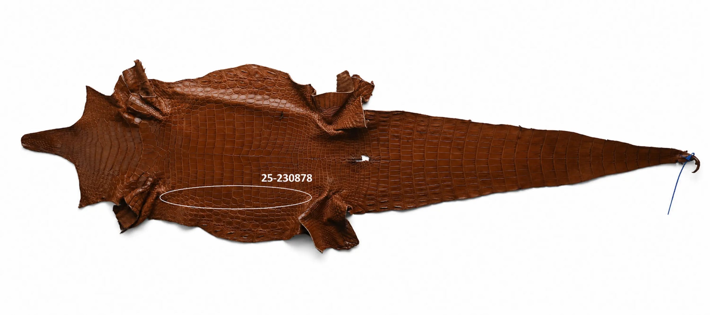 Seronera belt - Cognac / 95 cm / 40 mm - 126873 - skin