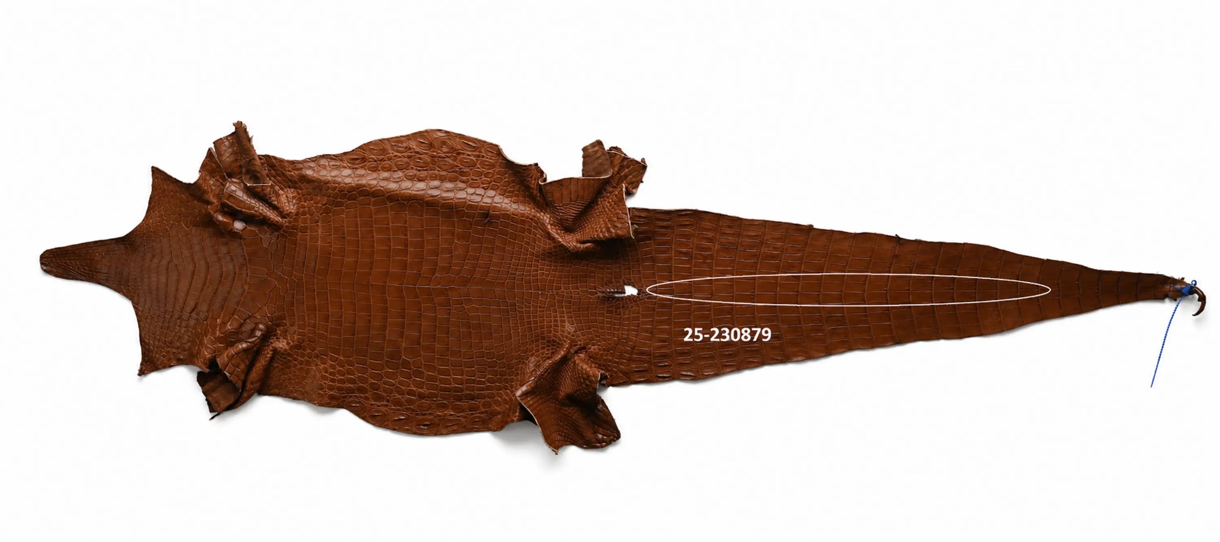 Seronera belt - Cognac / 90 cm / 40 mm - 126874 - skin