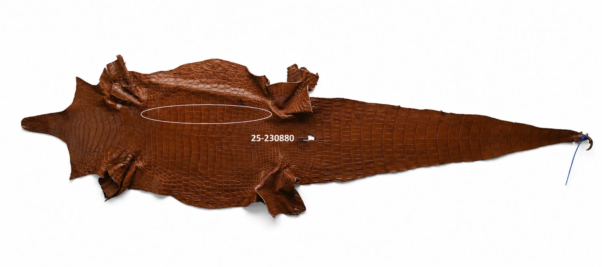 Seronera belt - Cognac / 75 cm / 40 mm - 126875 - skin