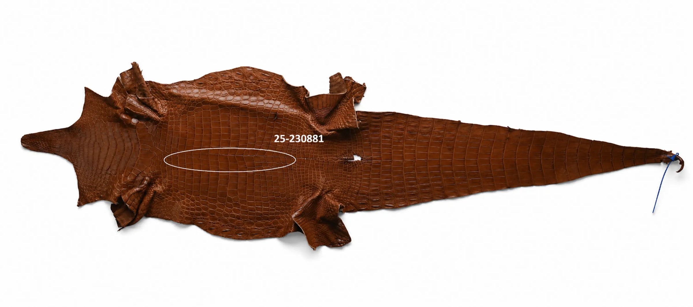 Seronera belt - Cognac / 110 cm / 40 mm - 126876 - skin