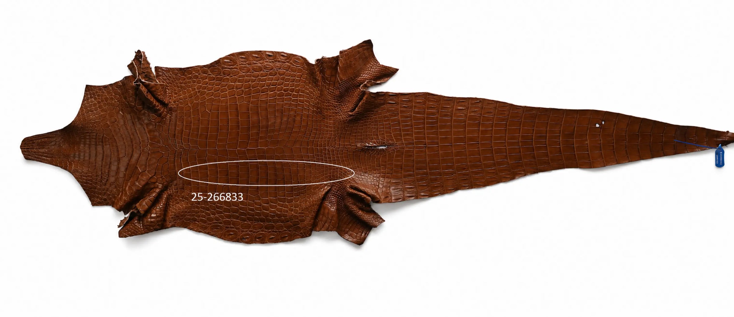 Seronera belt - Cognac / 105 cm / 40 mm - 127390 - skin