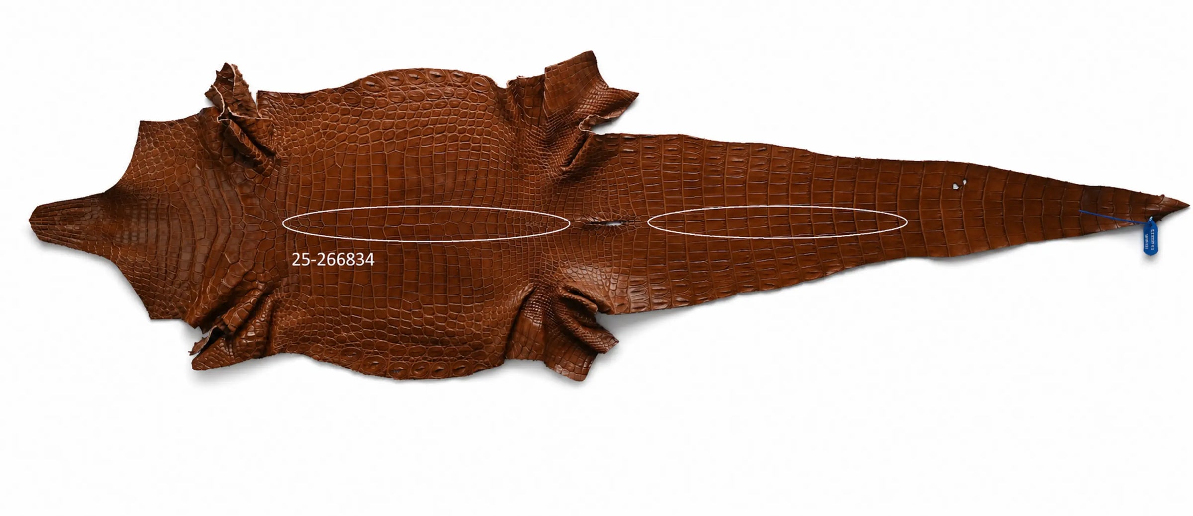 Seronera belt - Cognac / 105 cm / 40 mm - 127391 - skin