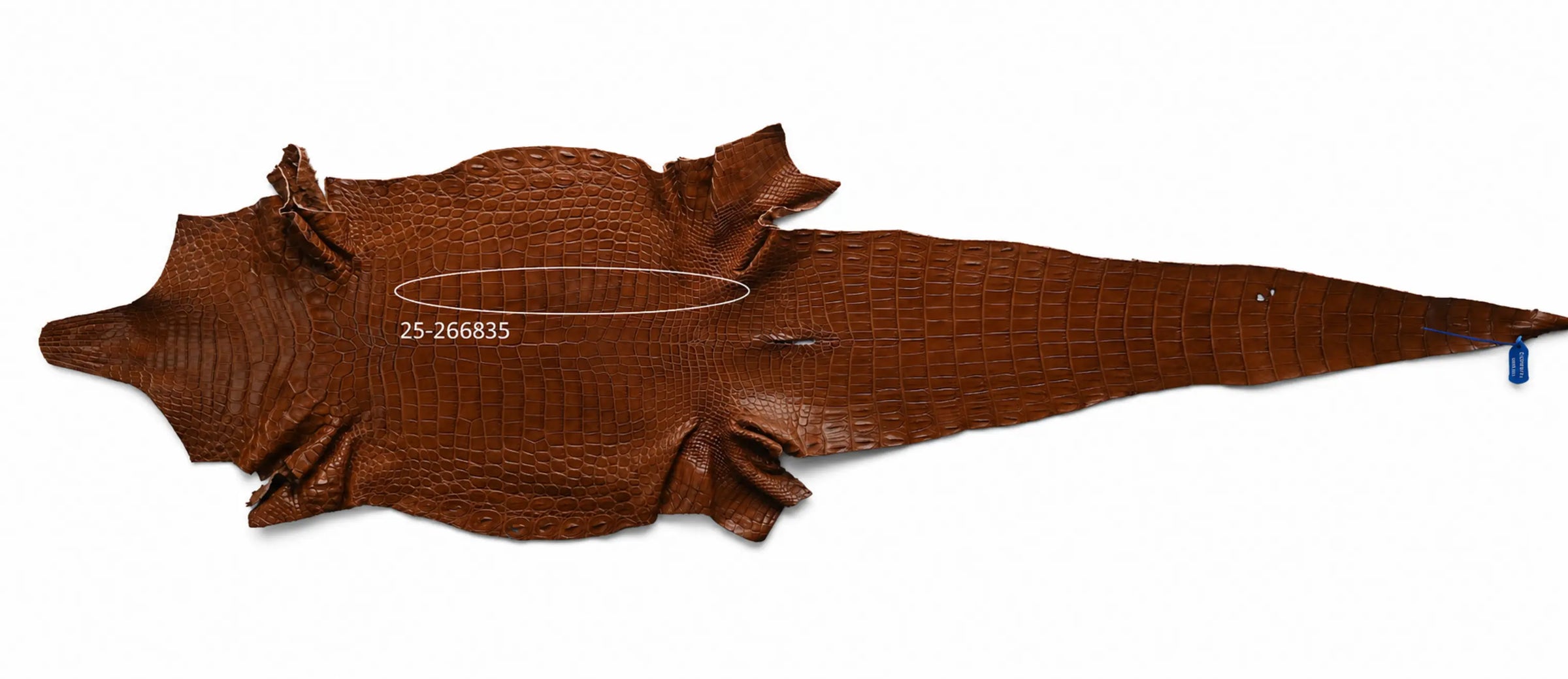 Seronera belt - Cognac / 105 cm / 40 mm - 127392 - skin