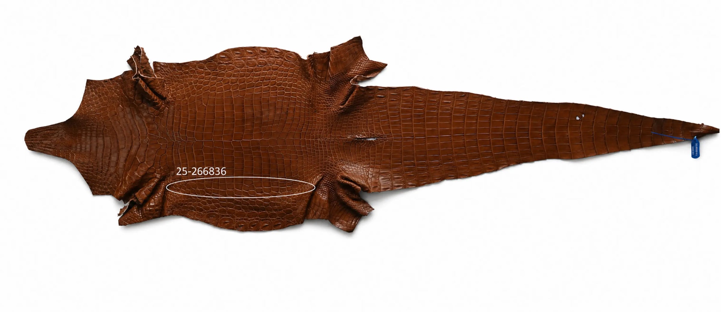 Seronera belt - Cognac / 90 cm / 40 mm - 127393 - skin