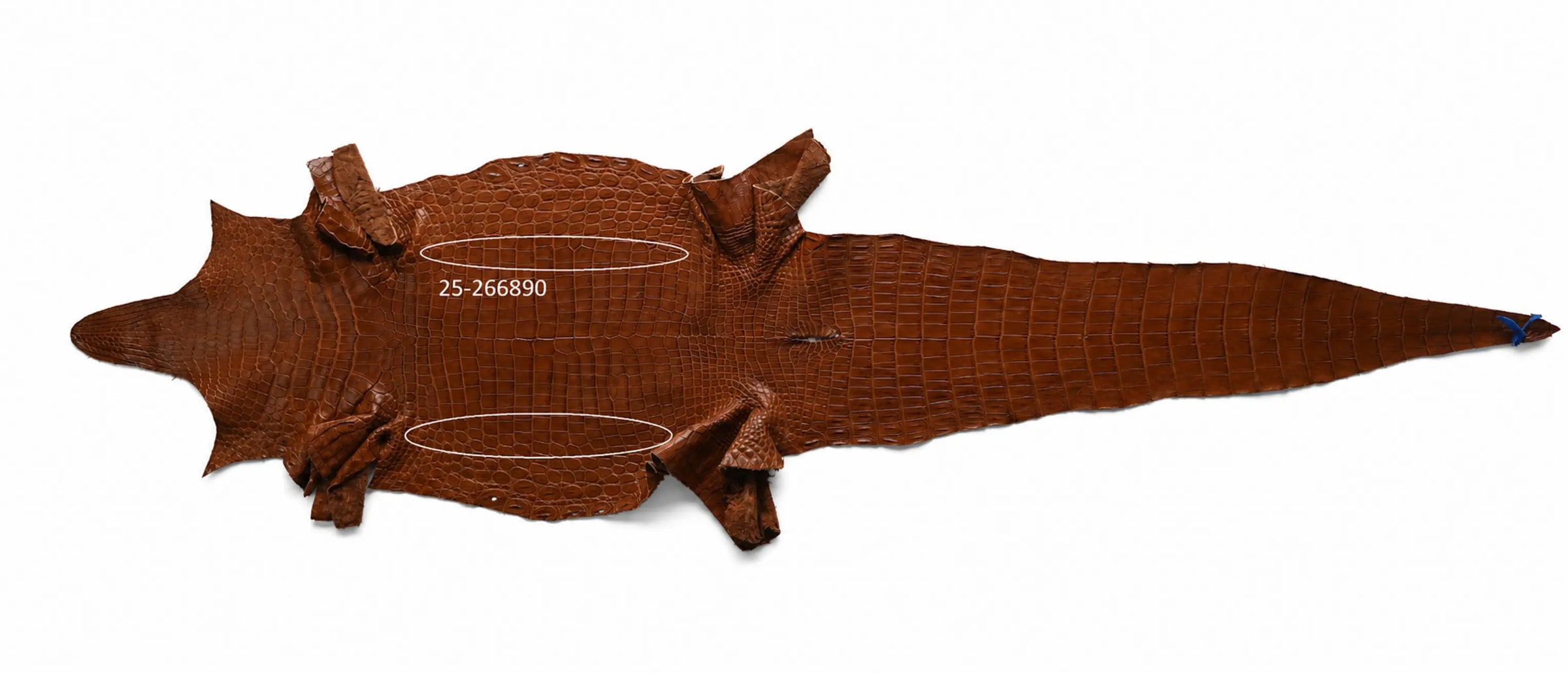 Seronera belt - Cognac / 110 cm / 40 mm - 126900 - skin