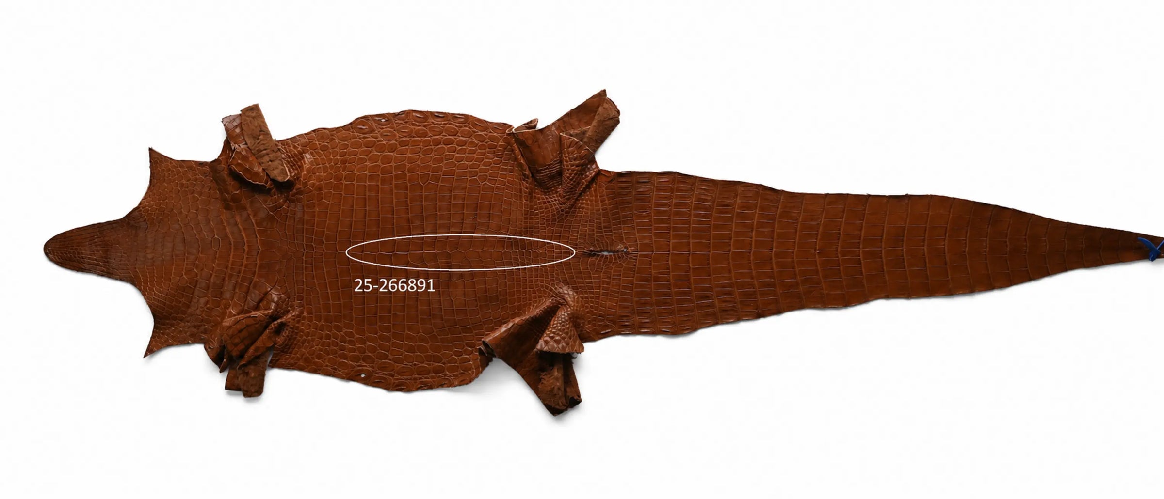 Seronera belt - Cognac / 70 cm / 35 mm - 126901 - skin