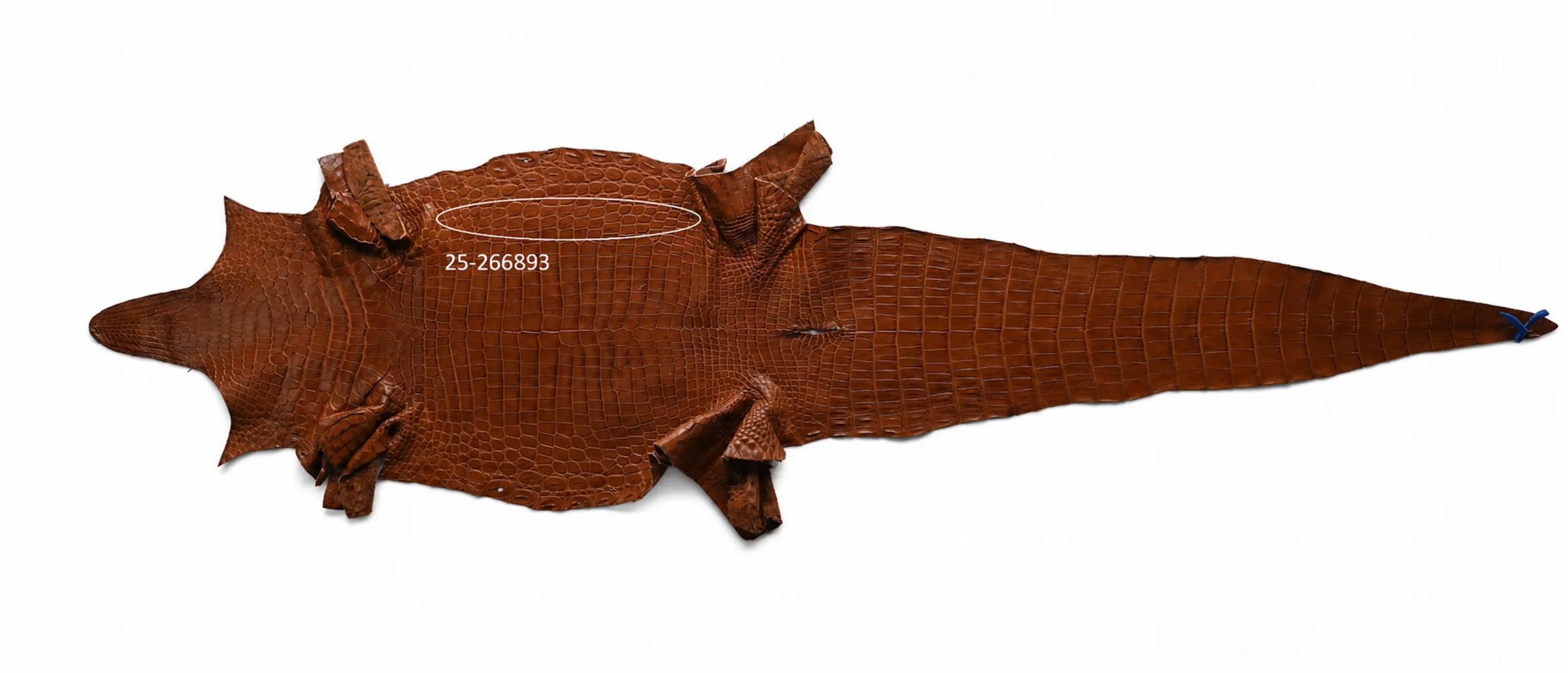 Seronera belt - Cognac / 70 cm / 35 mm - 126903 - skin