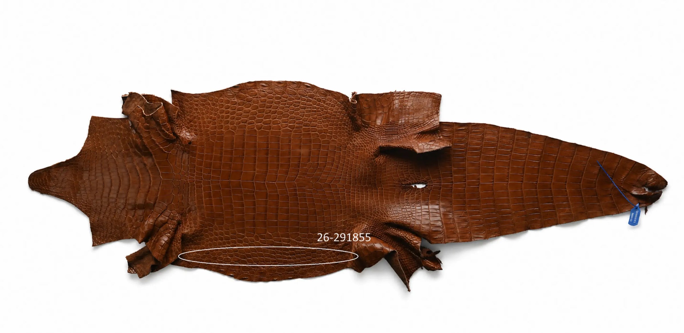 Seronera belt - Cognac / 75 cm / 35 mm - 127295 - skin