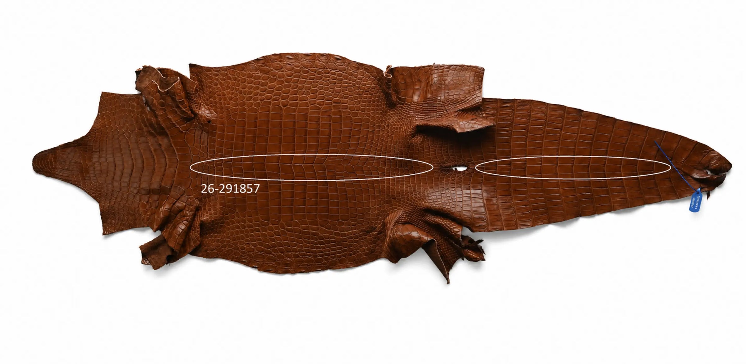 Seronera belt - Cognac / 75 cm / 35 mm - 127296 - skin
