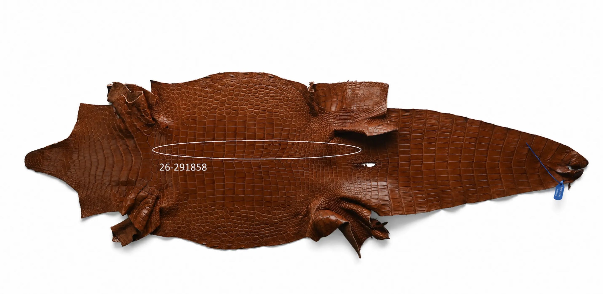Seronera belt - Cognac / 95 cm / 35 mm - 127297 - skin