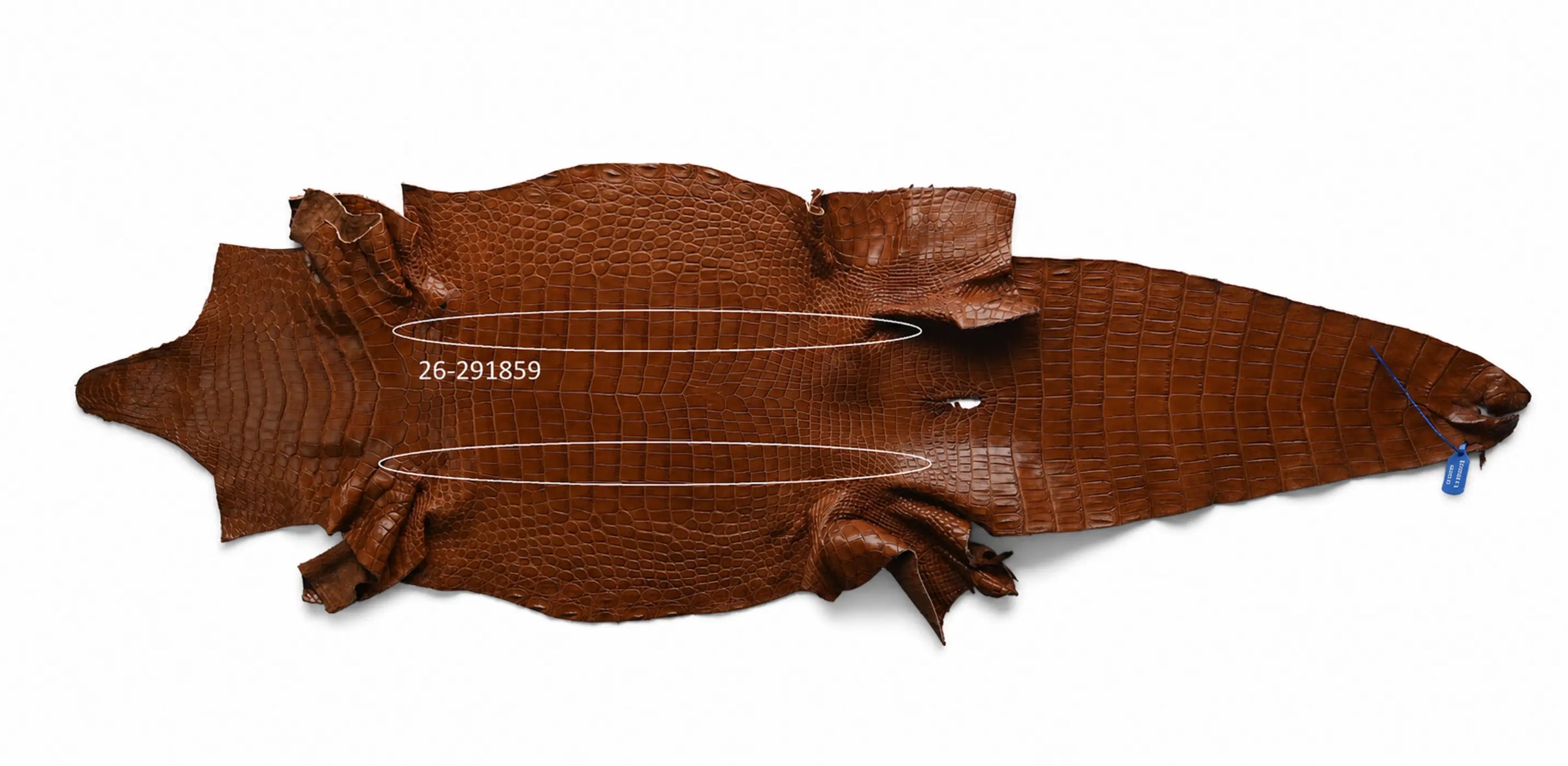 Seronera belt - Cognac / 100 cm / 35 mm - 127298 - skin