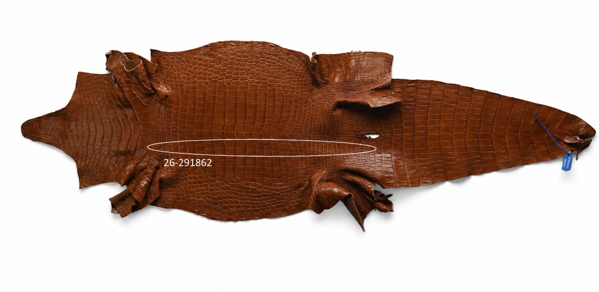 Seronera belt - Cognac / 100 cm / 35 mm - 127300 - skin