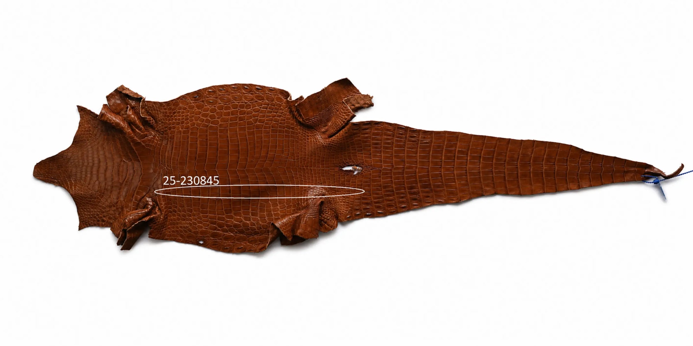 Seronera belt - Cognac / 70 cm / 35 mm - 126841 - skin